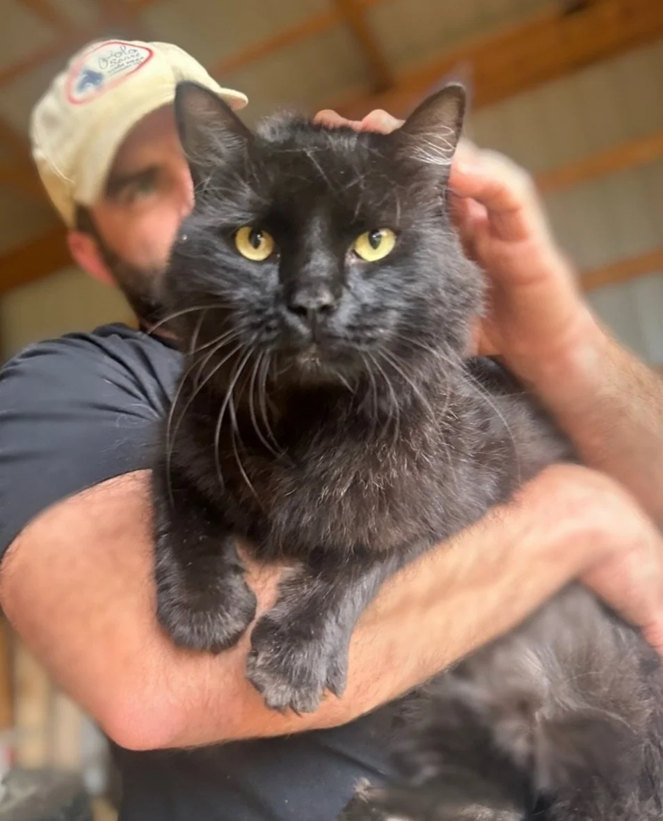 tempImagegWGSEX.jpg