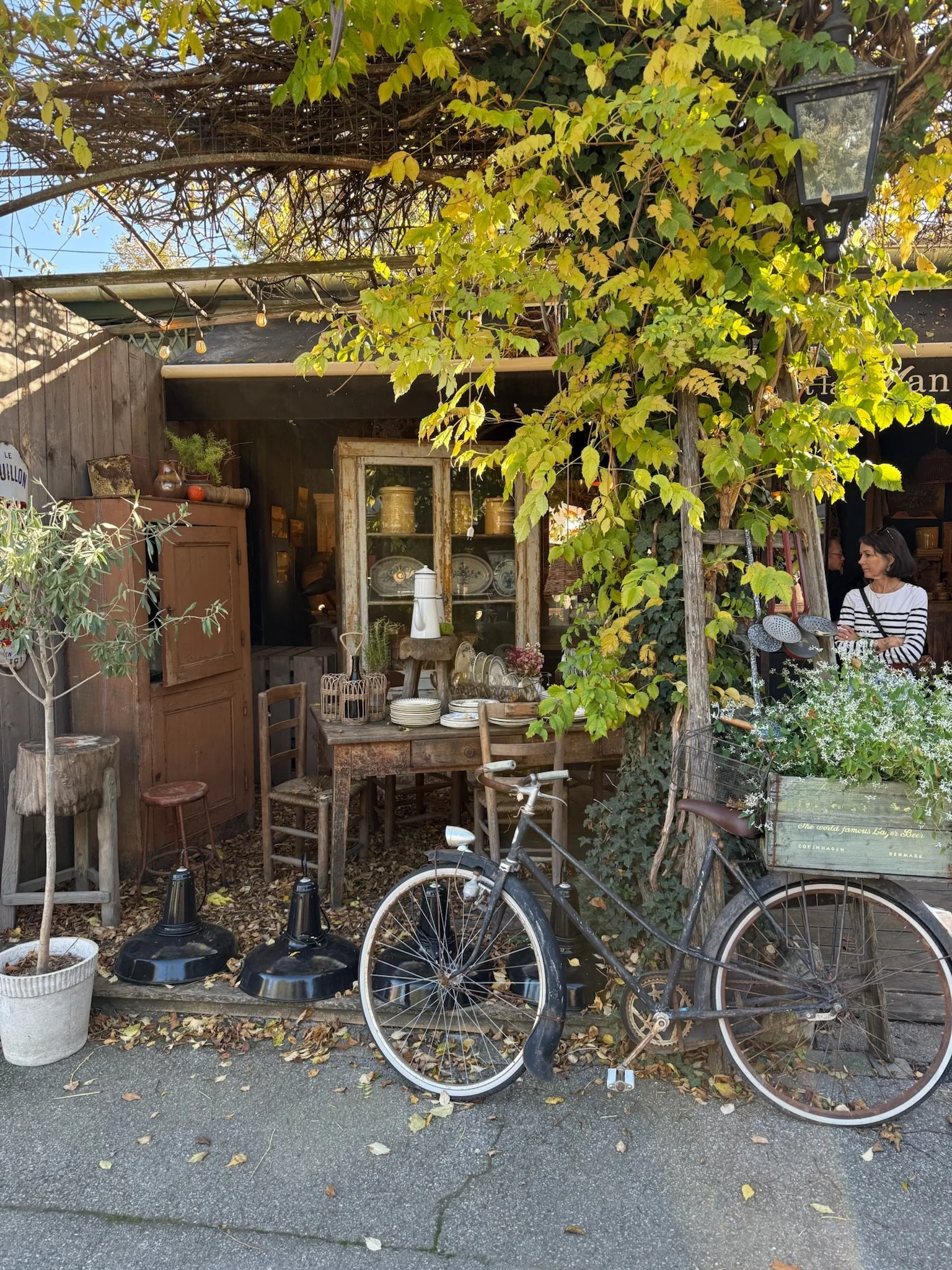 An outdoor antique shop with wooden furniture, vintage dishes, and decorative items, partly shaded by a leafy tree with a black bicycle parked in front, and a woman browsing inside.