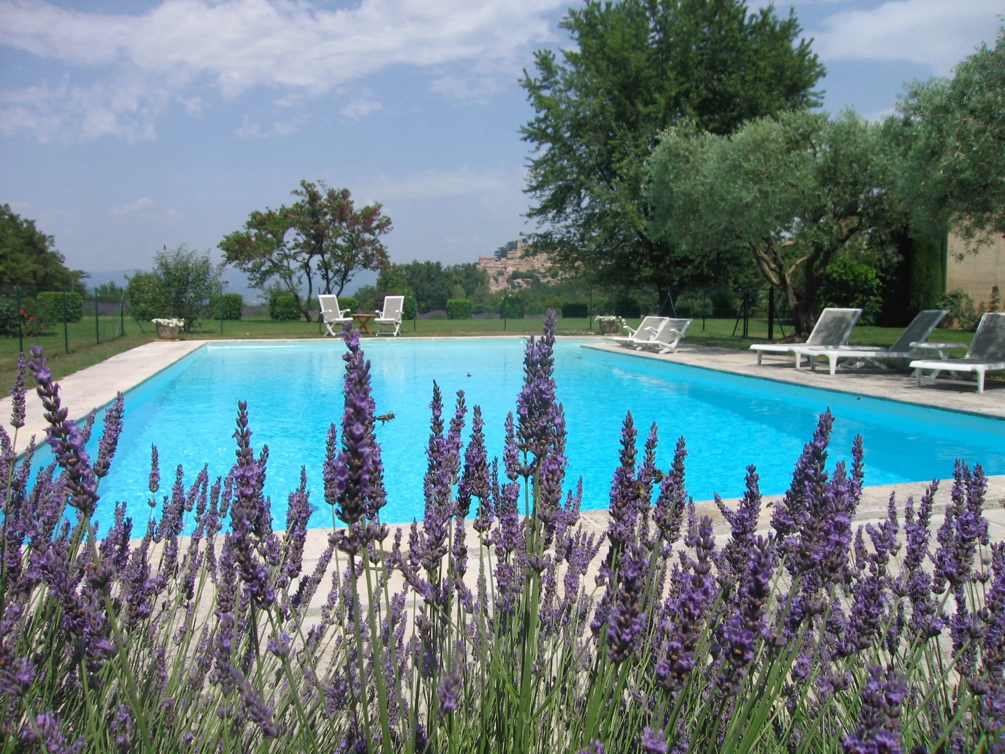 Pool thru lav detail-1.jpg