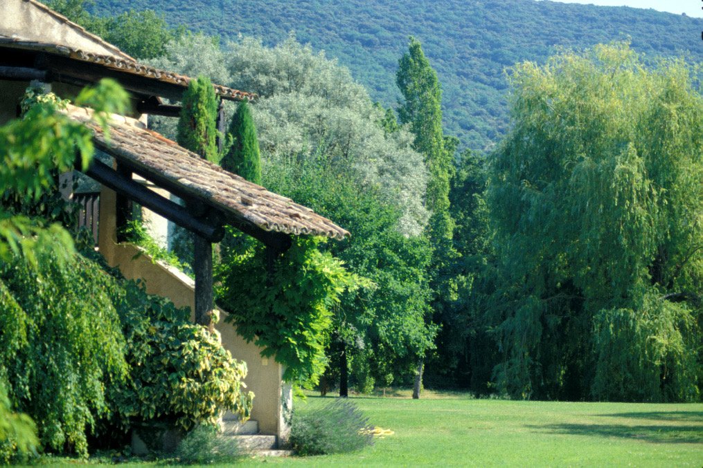 Stairs Up Garden View.jpg