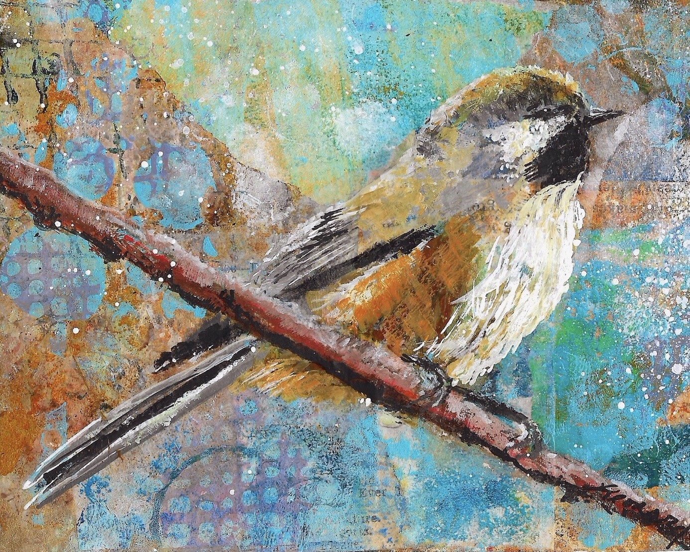 Boreal Chickadee_1.jpeg