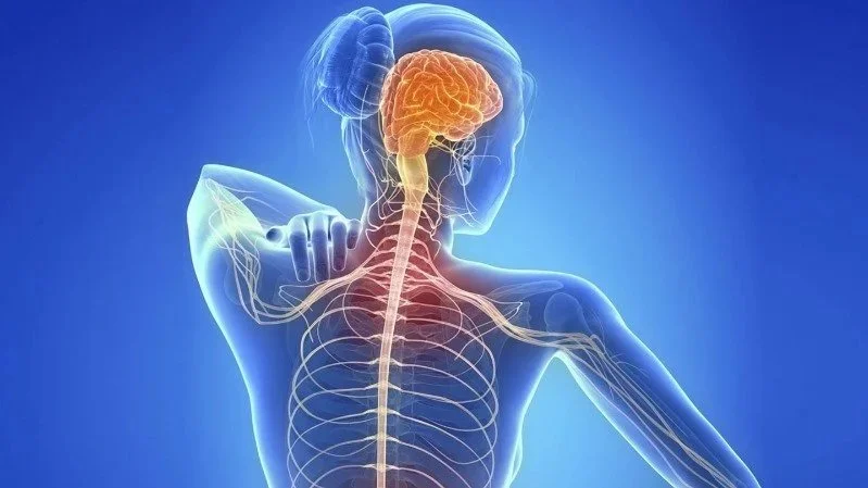 حين تؤجل الحياة… حتى إشعار آخر
