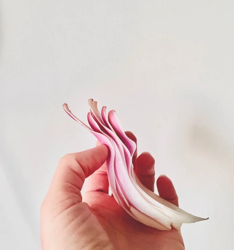 Peer Support session with Clare Plumley - Creating a portable sensory space for permanent housing.  20th April 2024.  Click for more information.