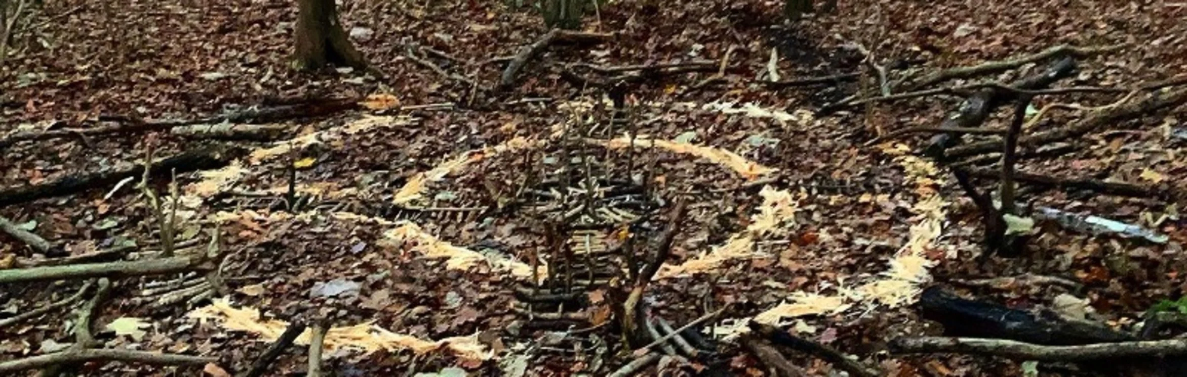 Peer Support session with Blair McCormick - eARTh workshop - Harness the chaos and create the calm. 20th July 2024.  Click for more information.