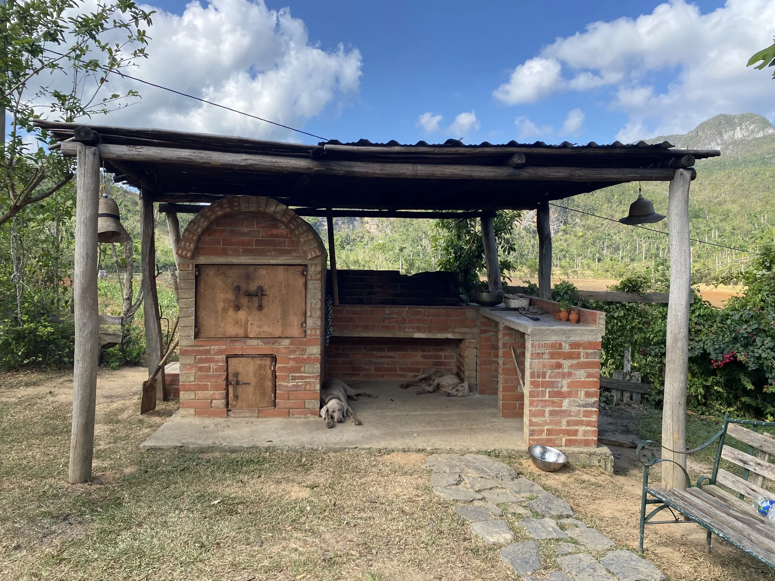 Outdoor brick wood-fired oven with a chimney, under a wooden roof supported by posts, with dogs resting underneath. Surrounding vegetation and mountains in the background.