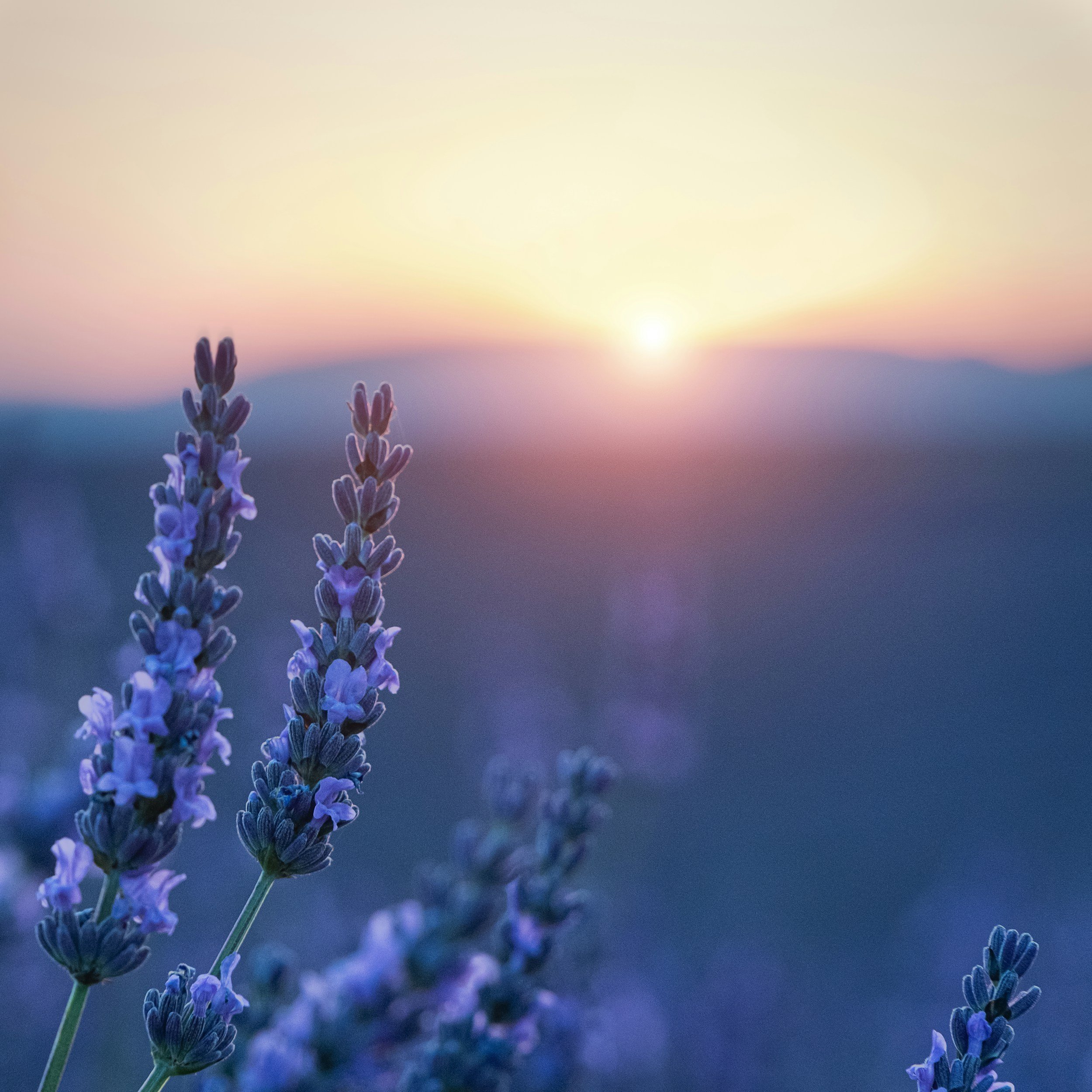 unsplash-image-kUbDf87U-AY.jpg