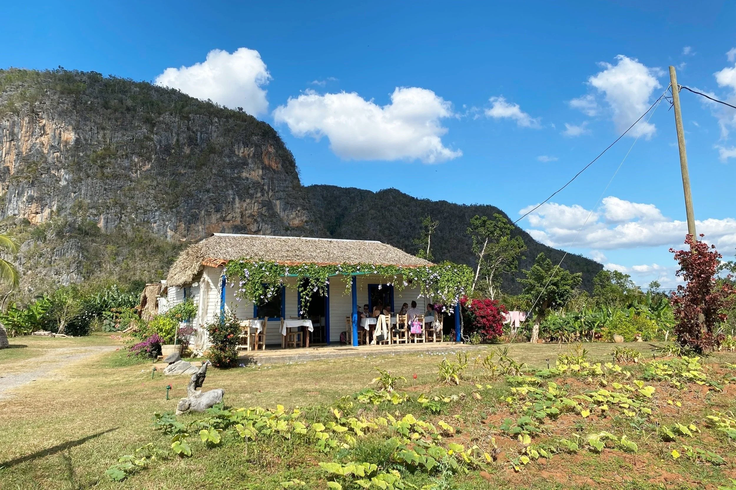 A small thatched-roof house with blue accents, decorated with hanging greenery and flowers, is set amidst greenery and mountains under a blue sky with clouds, with people dining outside.