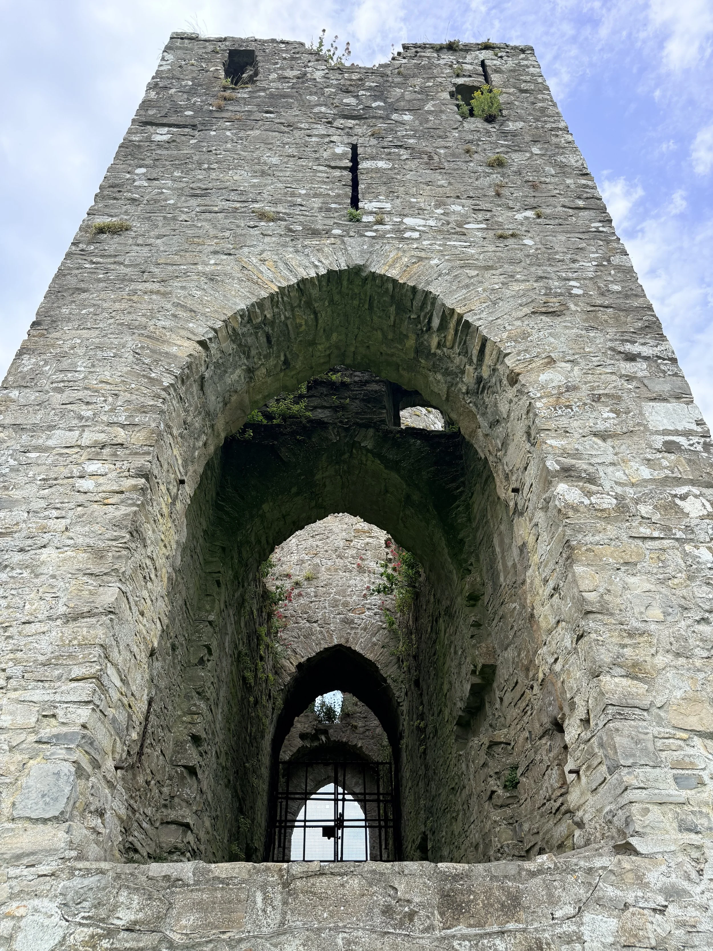 IMG_9126.jpeg