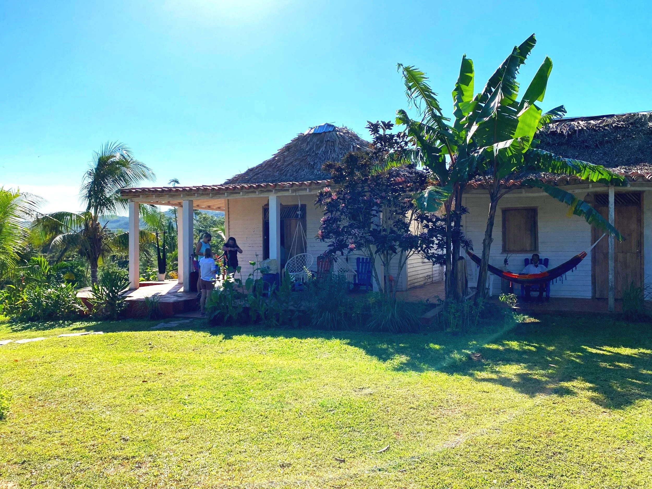 A group of people gathered on a porch of a white house with a thatched roof, surrounded by tropical plants and trees, including banana trees and palm trees, on a bright sunny day.