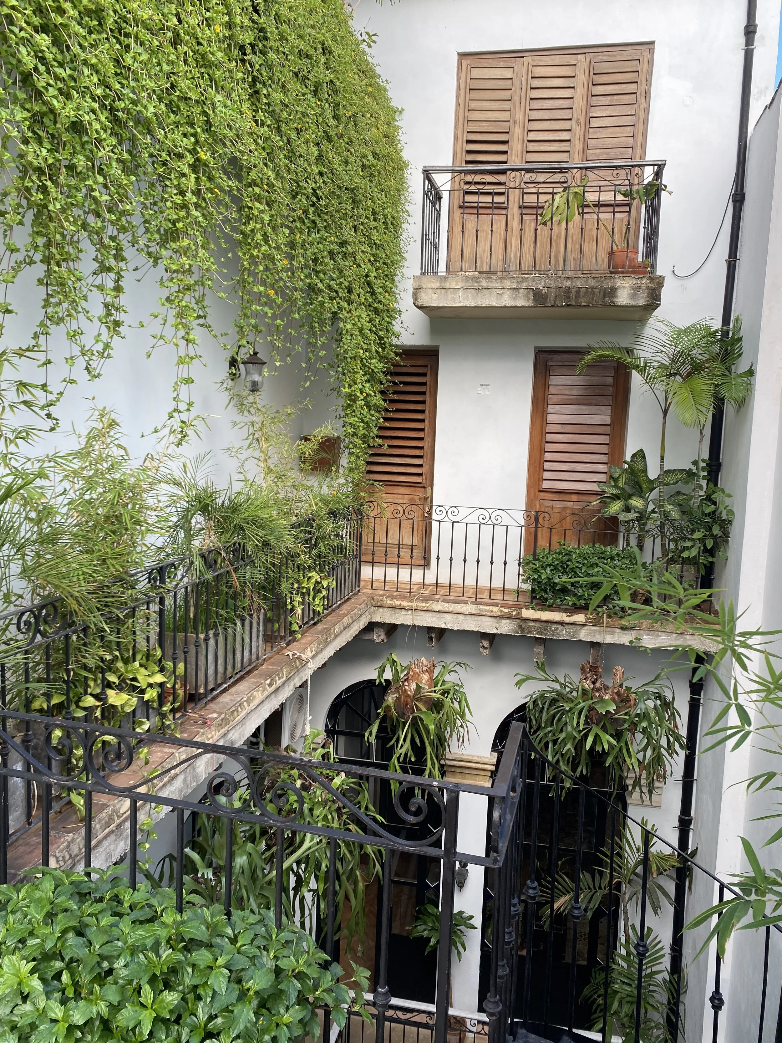 A multi-story courtyard with white walls and wooden window shutters, decorated with numerous green plants, including climbing vines, potted plants on a small balcony, and hanging plants, with black wrought-iron railings and a concrete balcony.