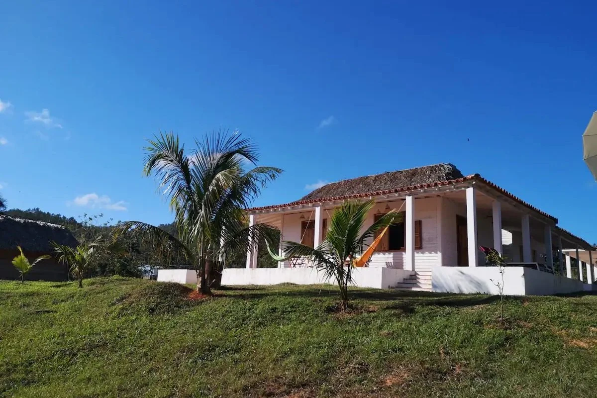 A white house with a tiled roof on a grassy hill, surrounded by small palm trees, under a clear blue sky.