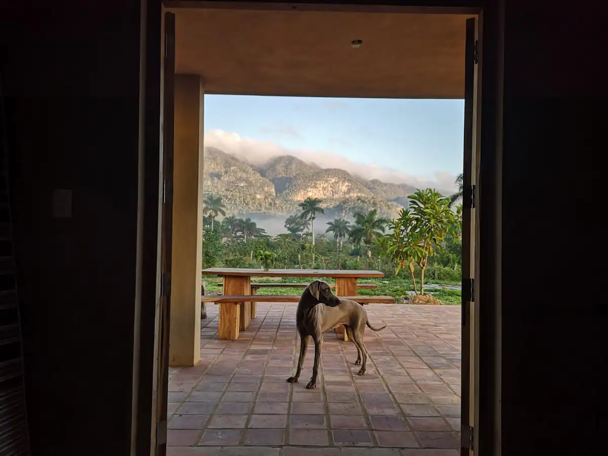 View of a mountain landscape with clouds, seen from a covered porch with a wooden table and bench, frame open, with a dog standing on tiled floor.