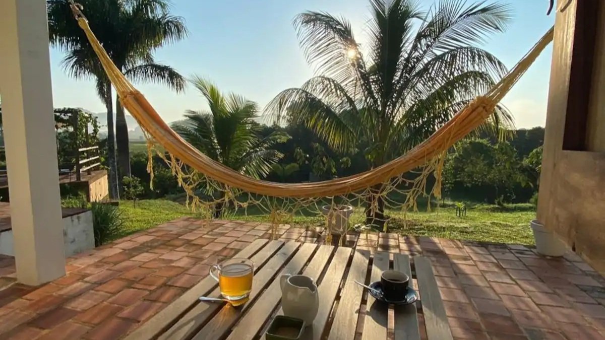 Outdoor patio with a hammock, a wooden table with cups of coffee and tea, a glass of juice, and a sunny garden with palm trees.