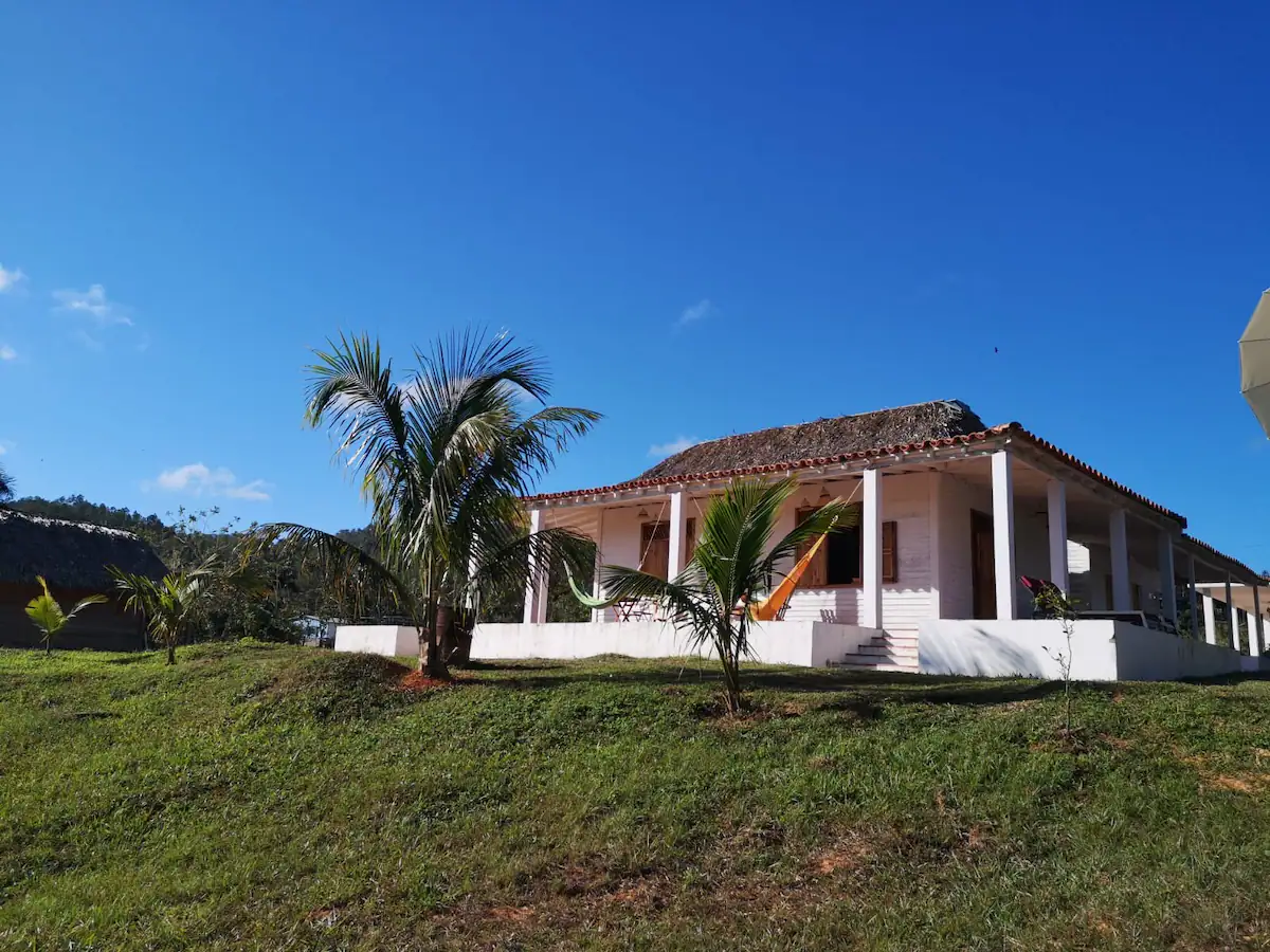 A white house with a red tile roof, surrounded by palm trees and green grass, under a clear blue sky.