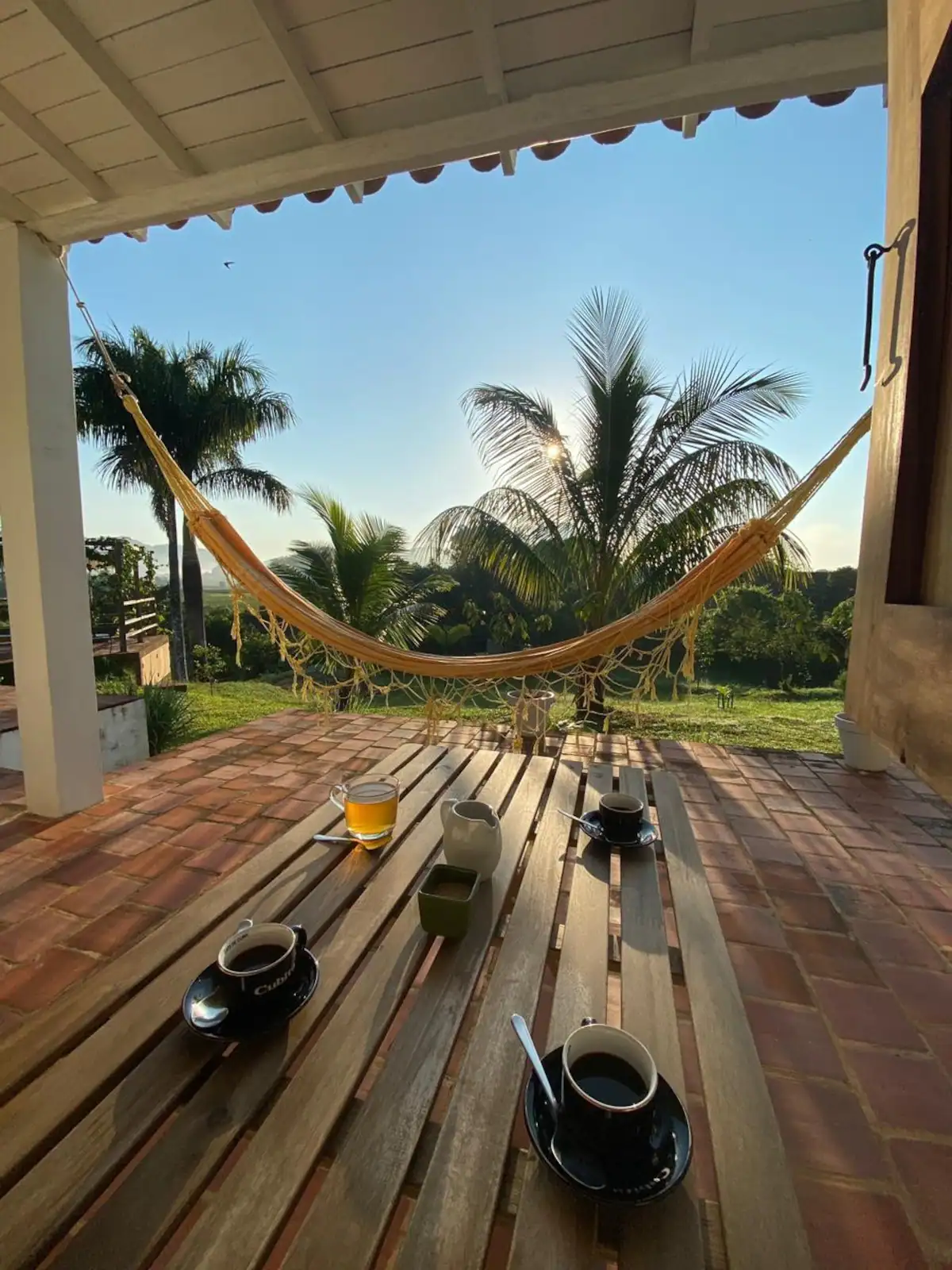 Cold brew coffee and tea cups on a wooden table on a porch, with a hammock, palm trees, and a clear blue sky in the background.