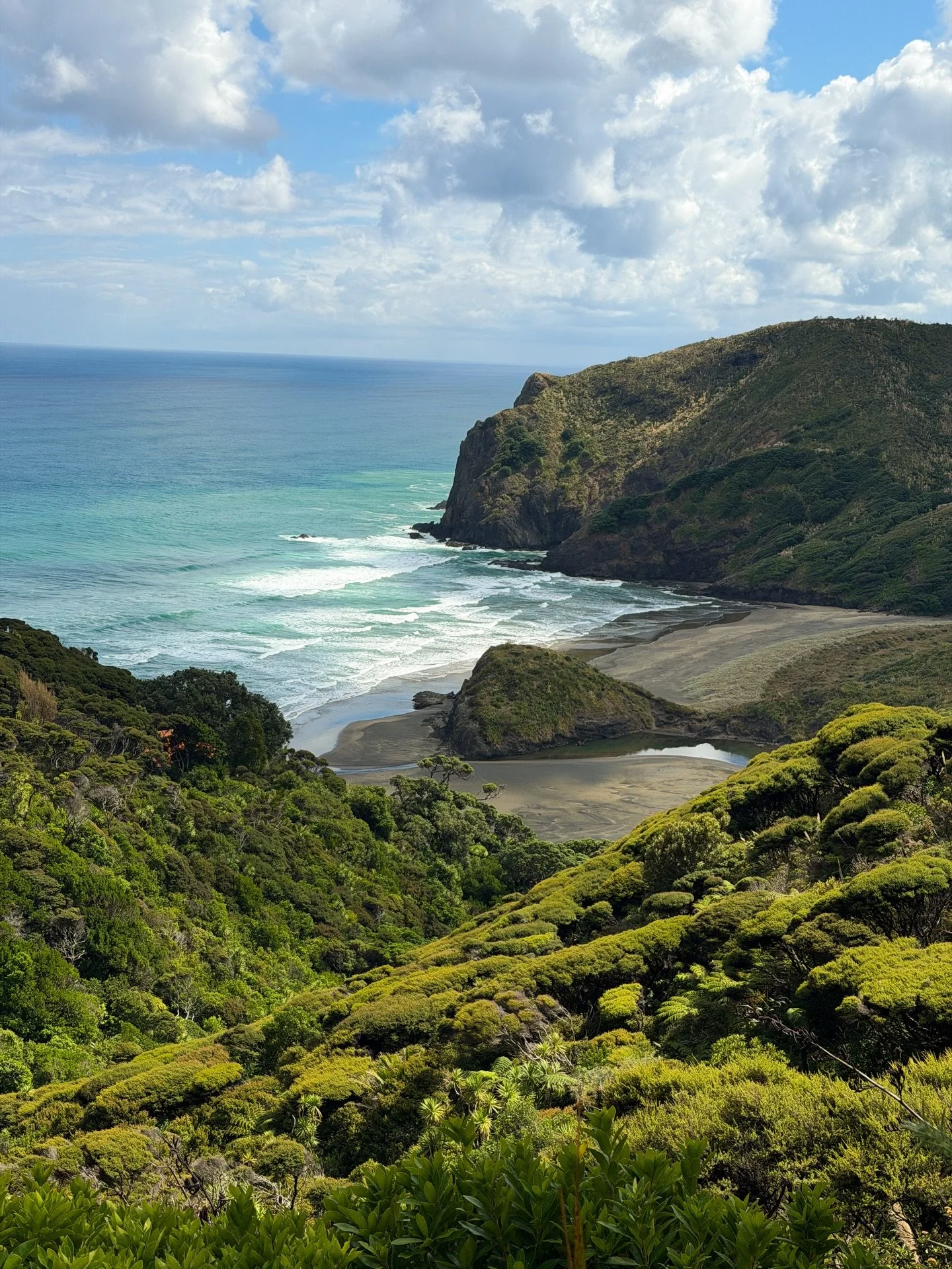 We kept saying &ldquo;okay, one more stop&rdquo; all day on the west coastline outside Auckland today.

Anawhata Beach and Te Waha Point required committing to a very long dirt road to get there, absolutely worth it. Then we finished the day at Merce