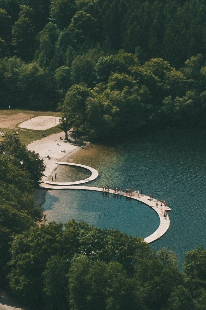 Curved pedestrian bridge over a lake surrounded by trees