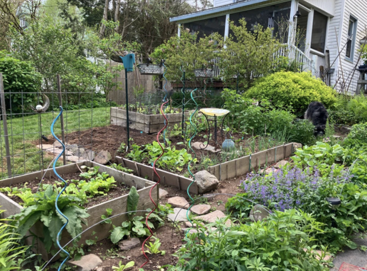 Local Educator Pushes for People to Grow Their Own Food
