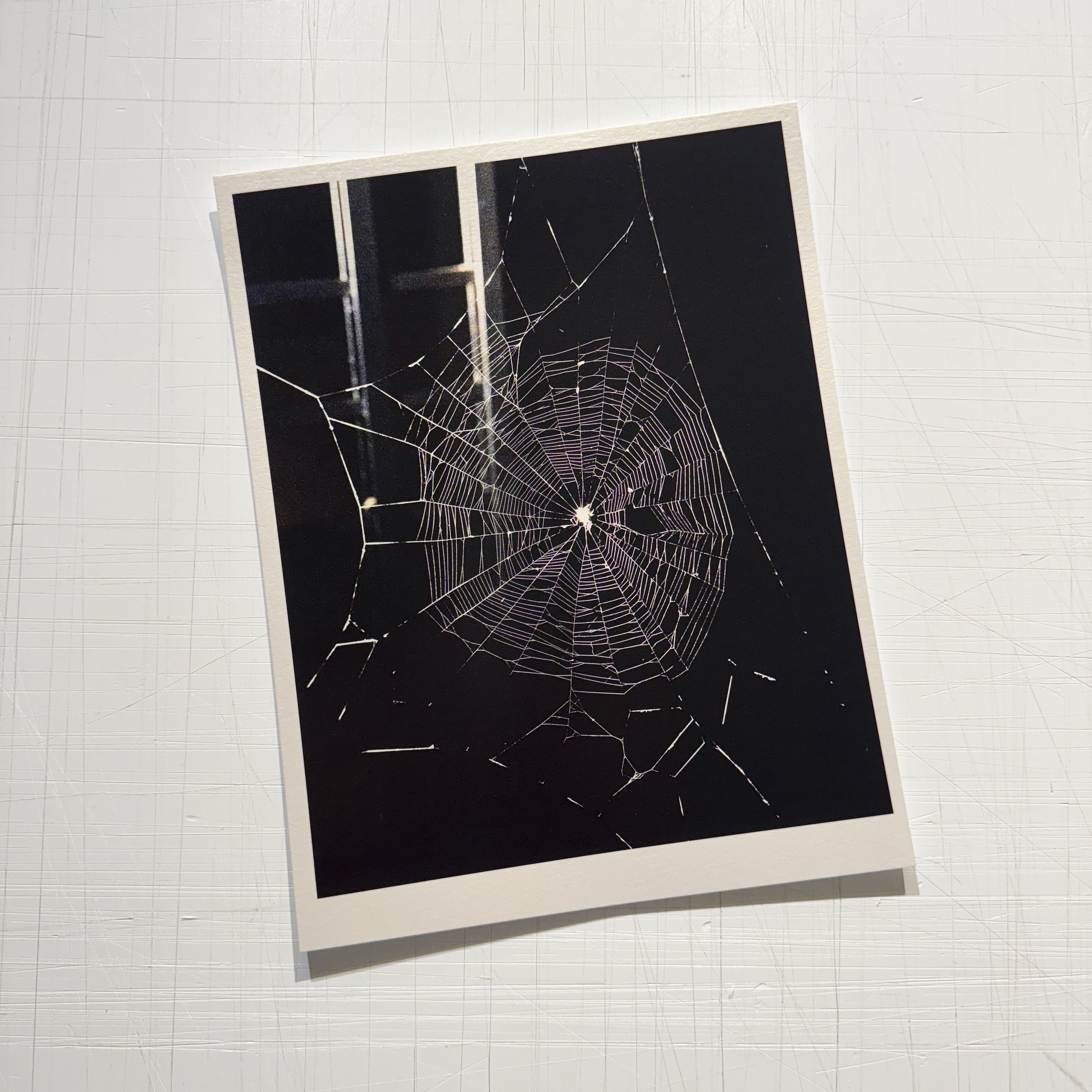 print-round-01-TATE-img_5683_1.jpg