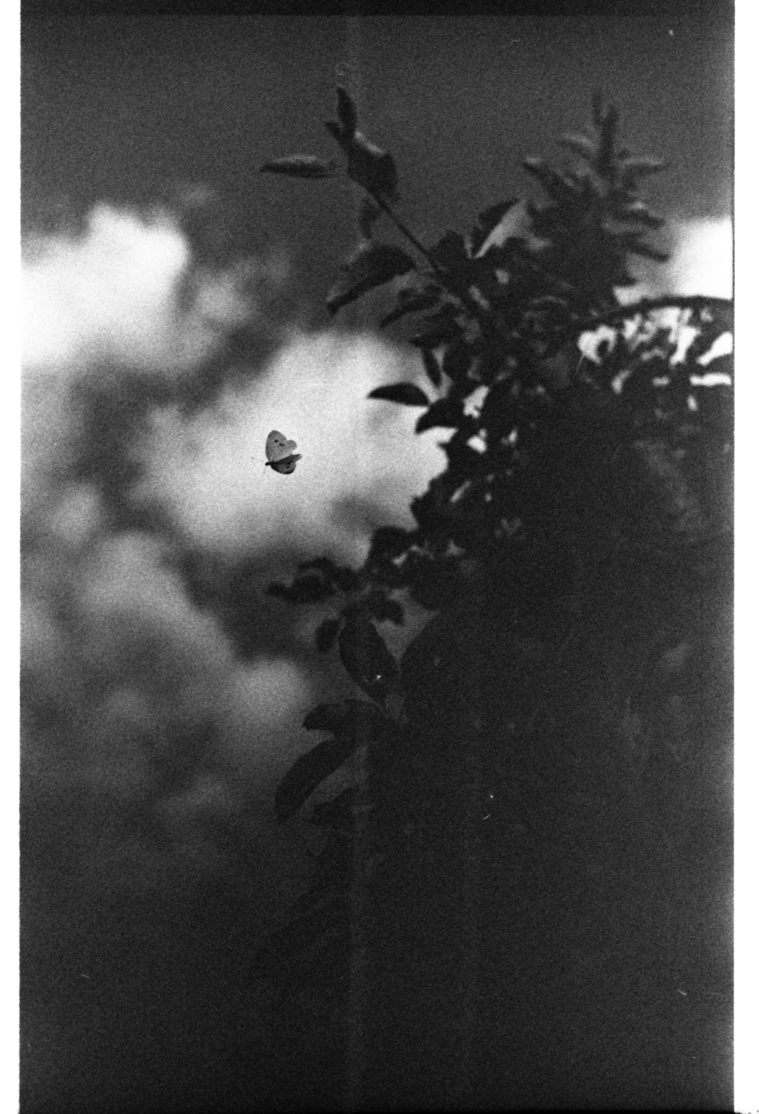 BLACK & WHITE _ TATE tate-experimental-developer-09.26.2420241007_11.jpg