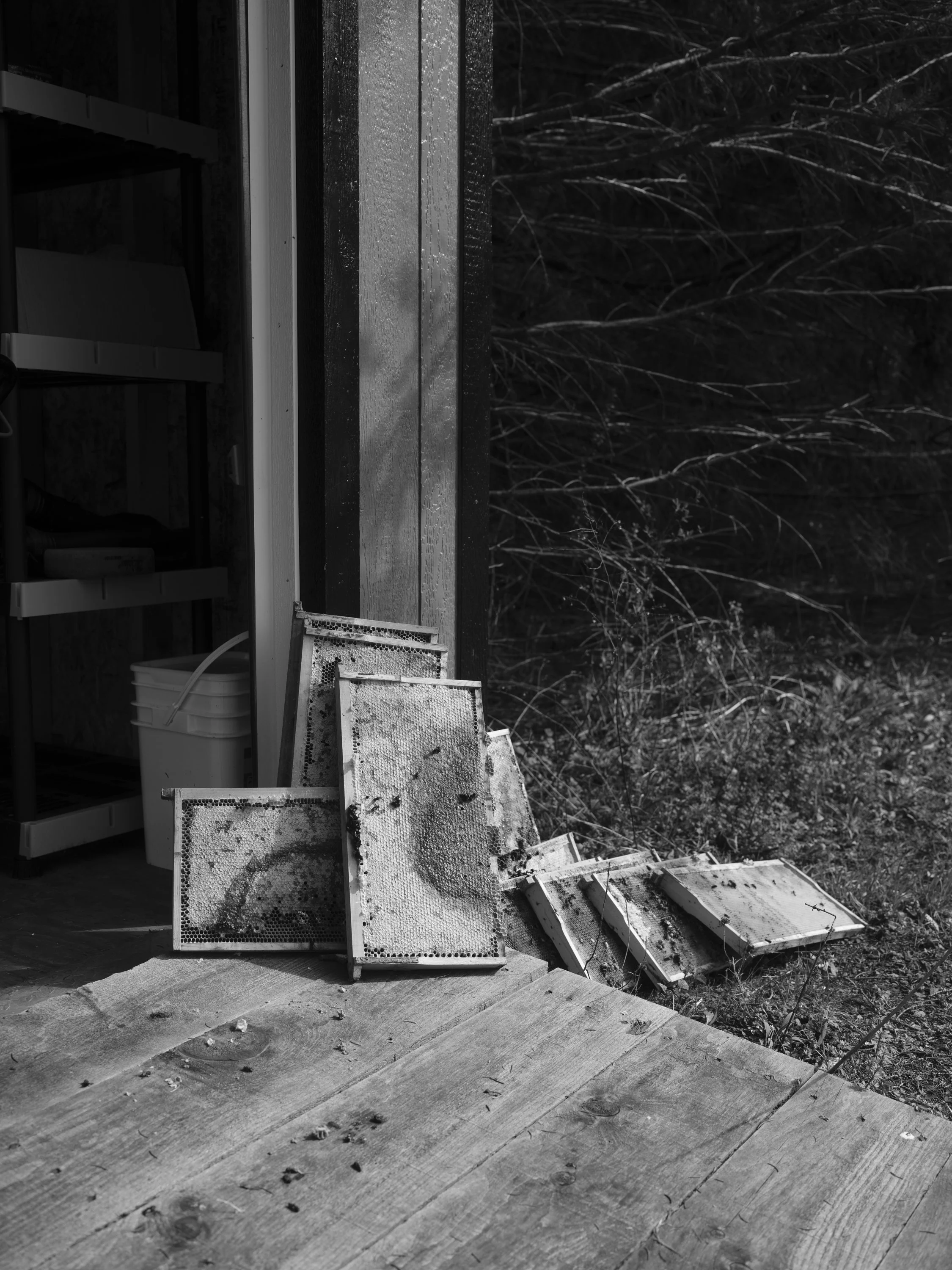 tate_BW__13.jpg