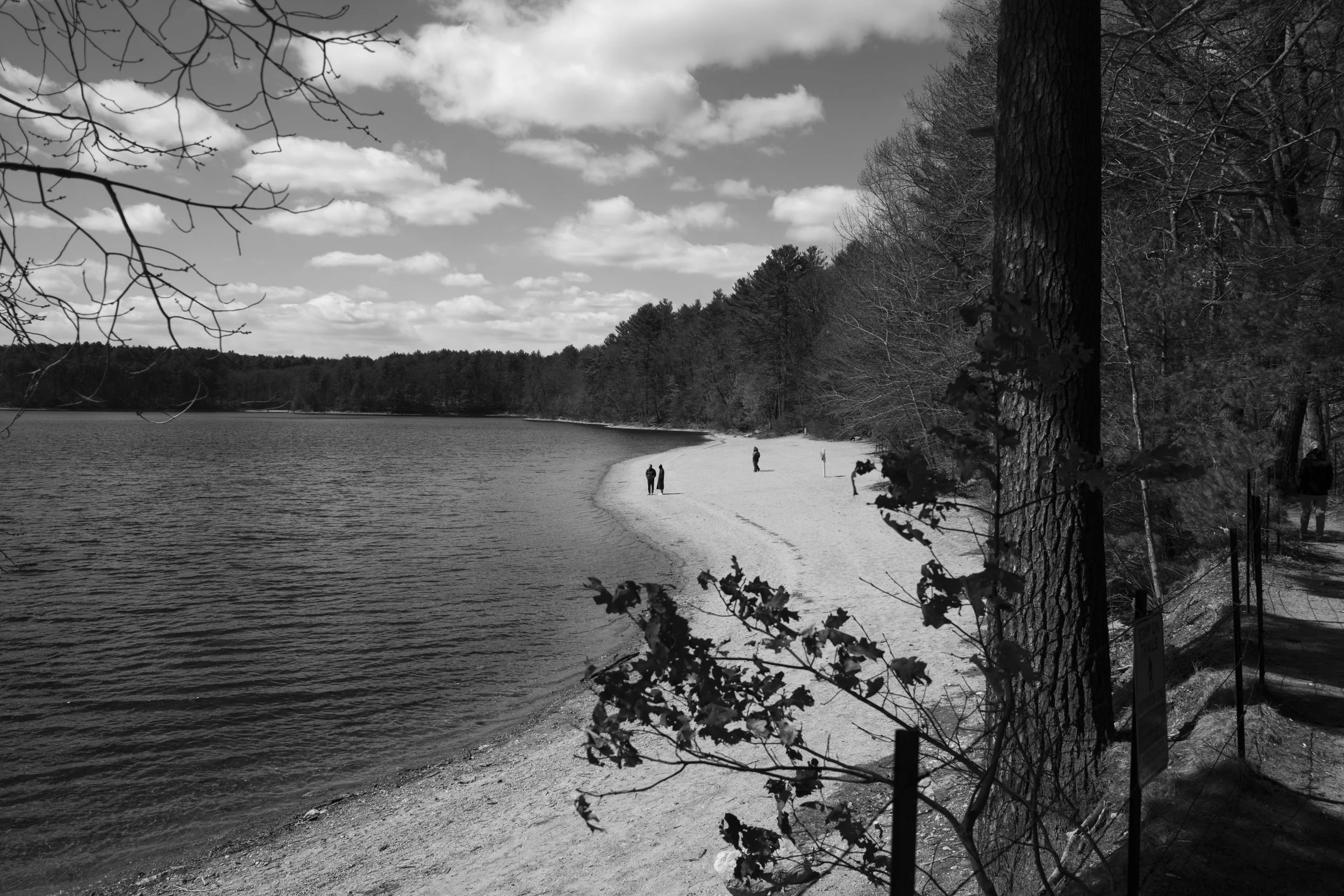 tate_BW__14.jpg