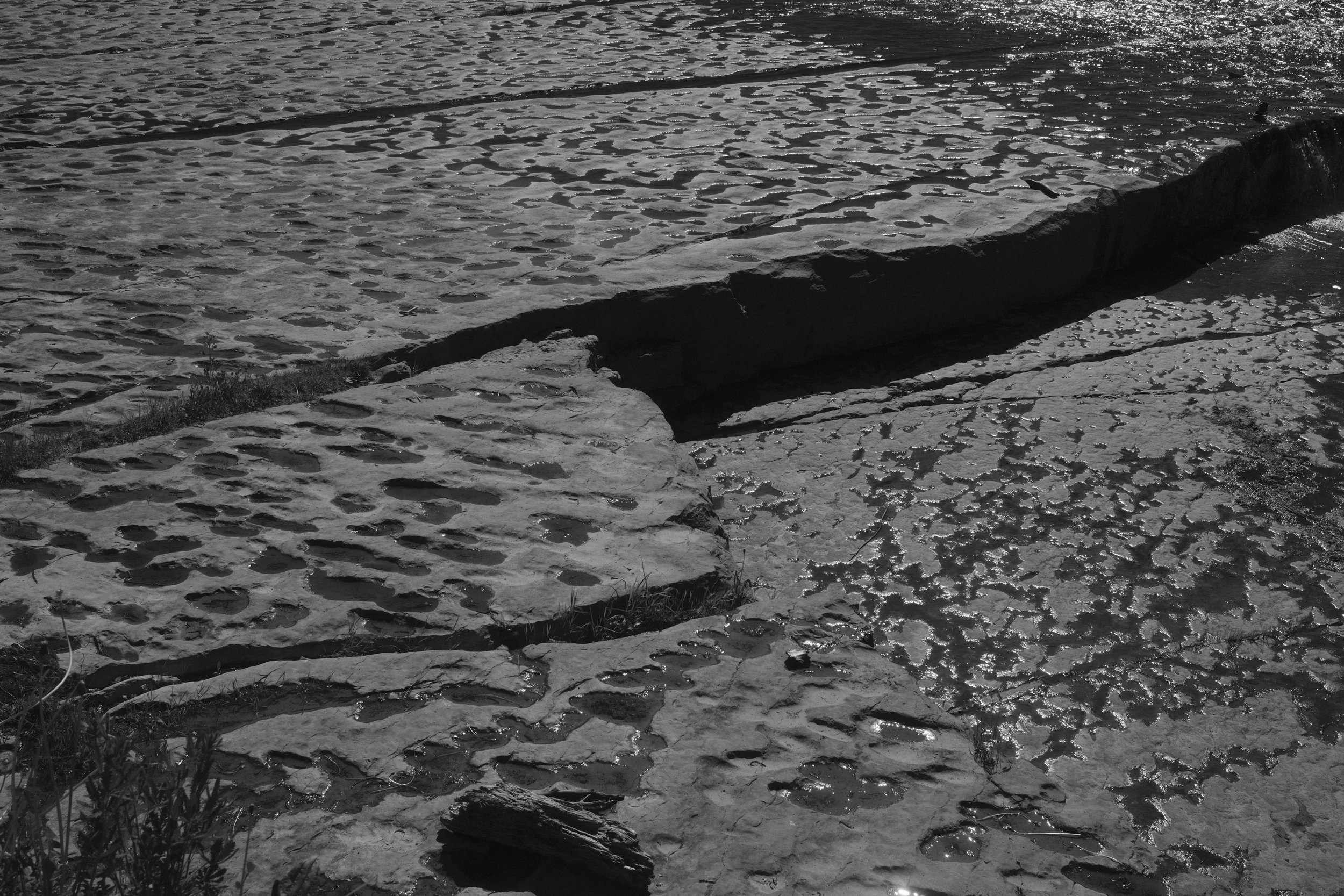 BLACK & WHITE _ TATE _dsf2334.jpg