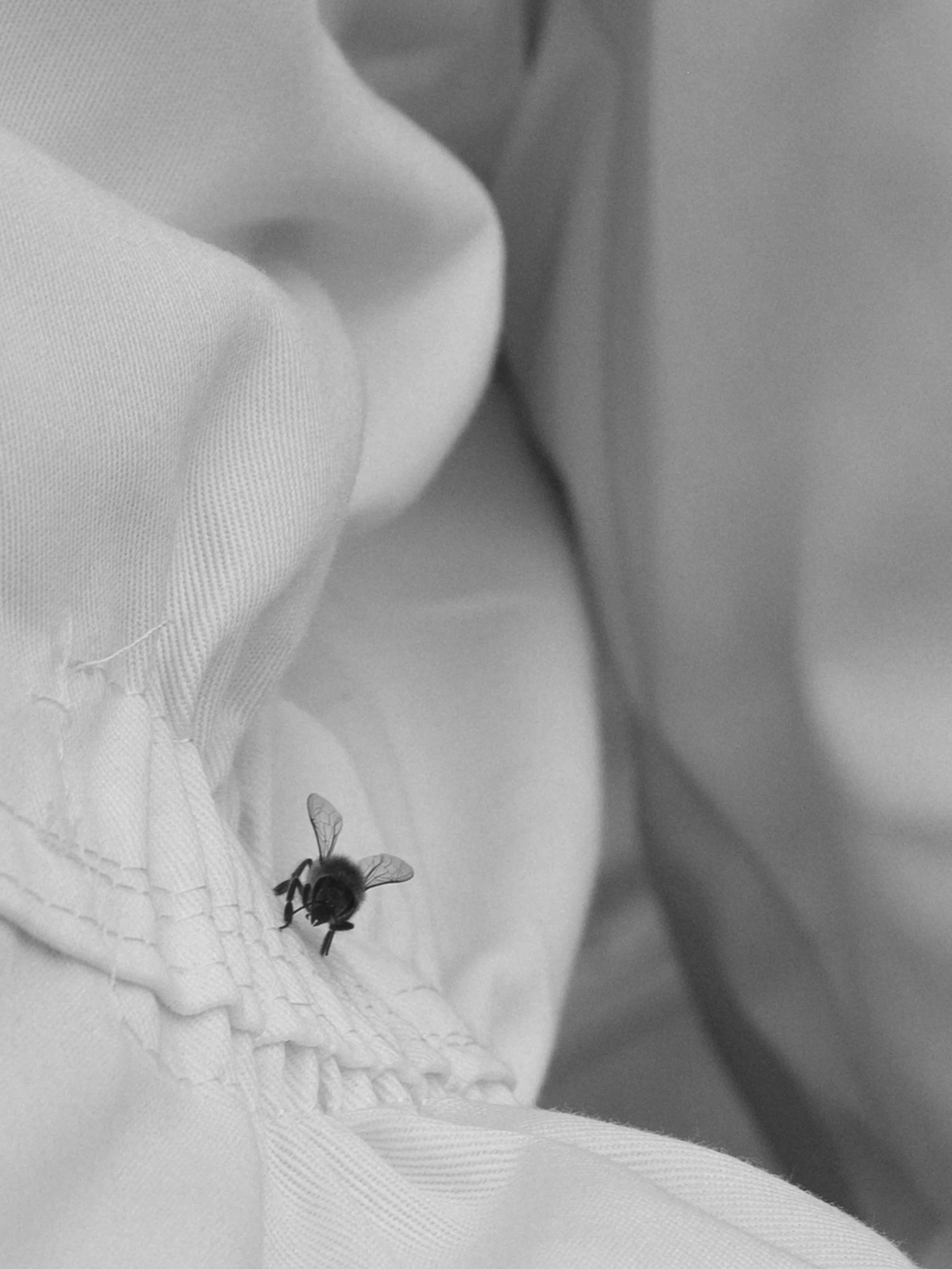 tate_BW__16.jpg