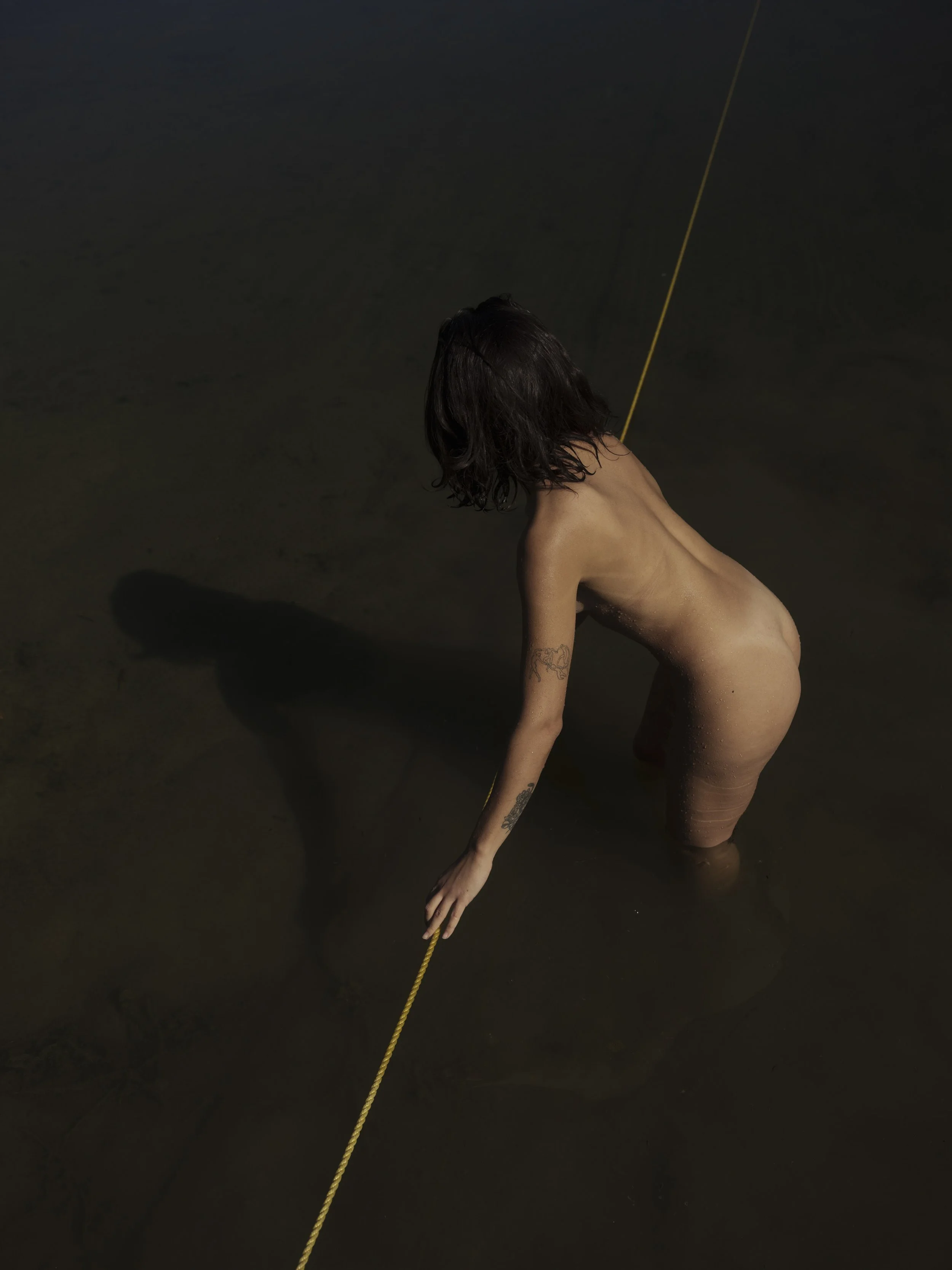 COLOR _ TATE ece-ithaca-dock-tiger__5.jpg