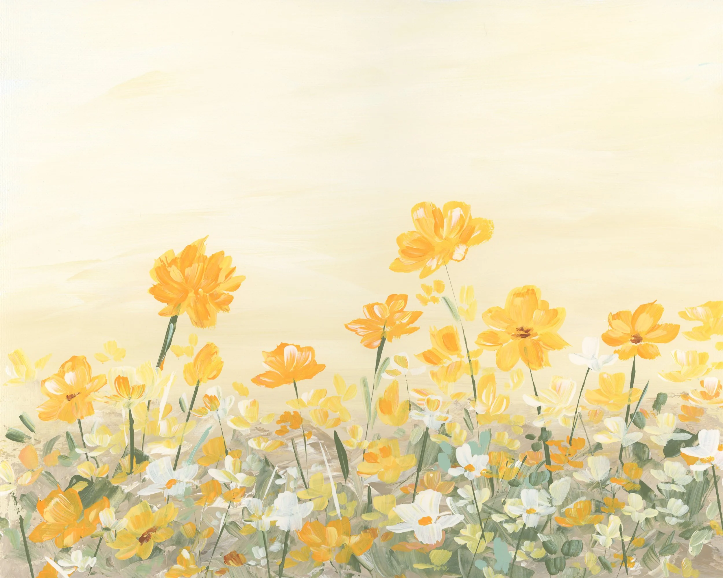 yellow flower field.jpeg