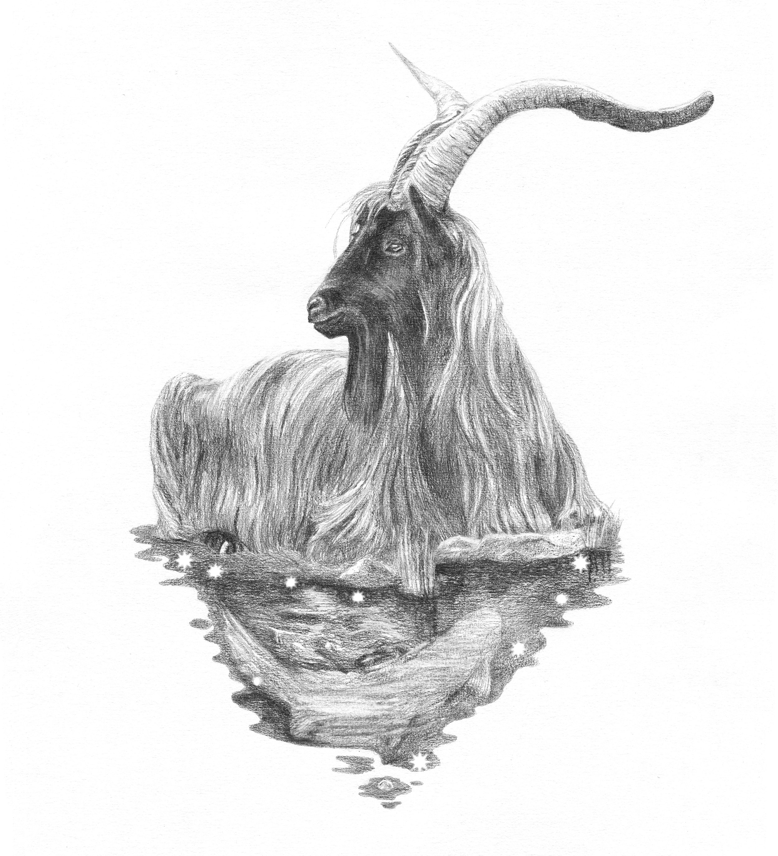 Capricorn