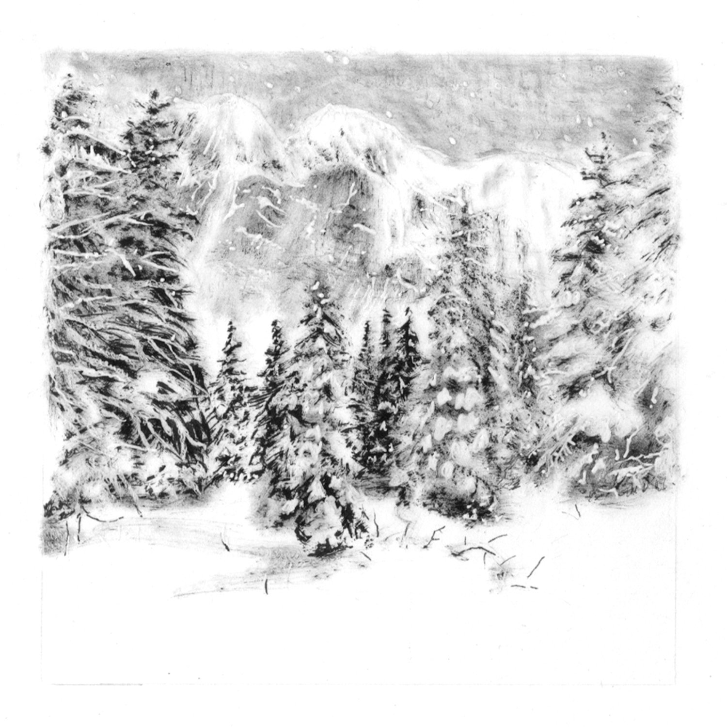 Snow-Print.jpg