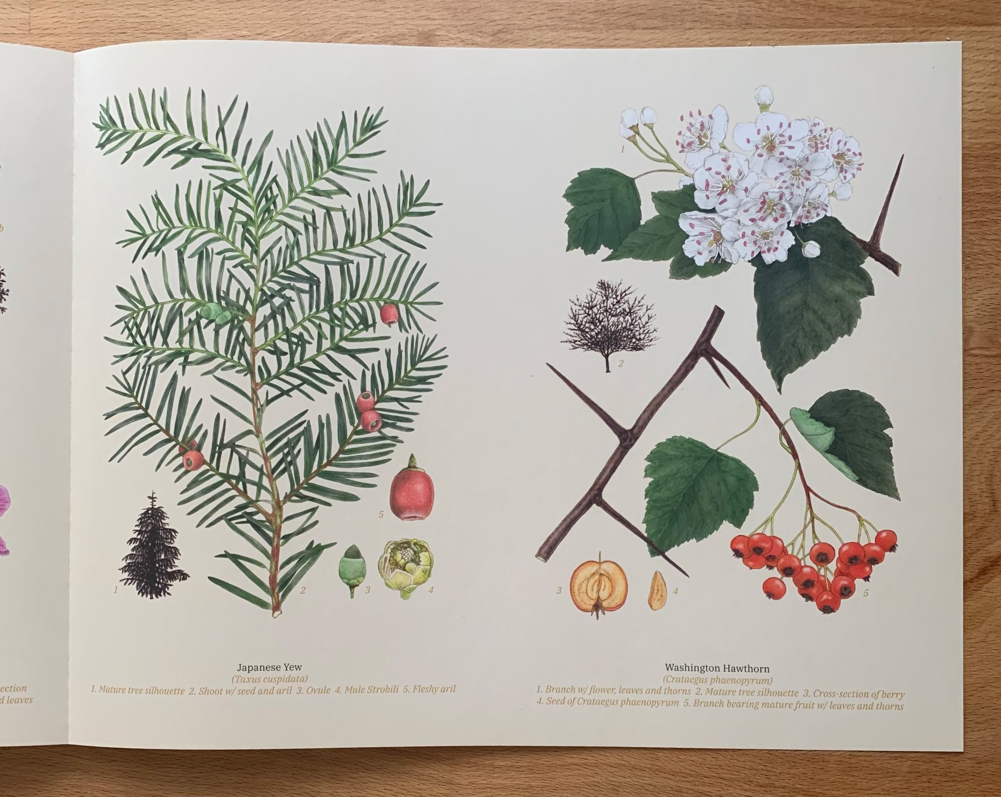 KCAI-Book-2.jpg