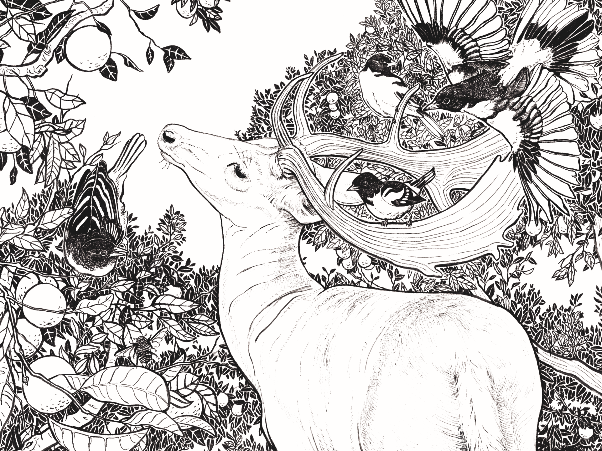 Fauna Poster