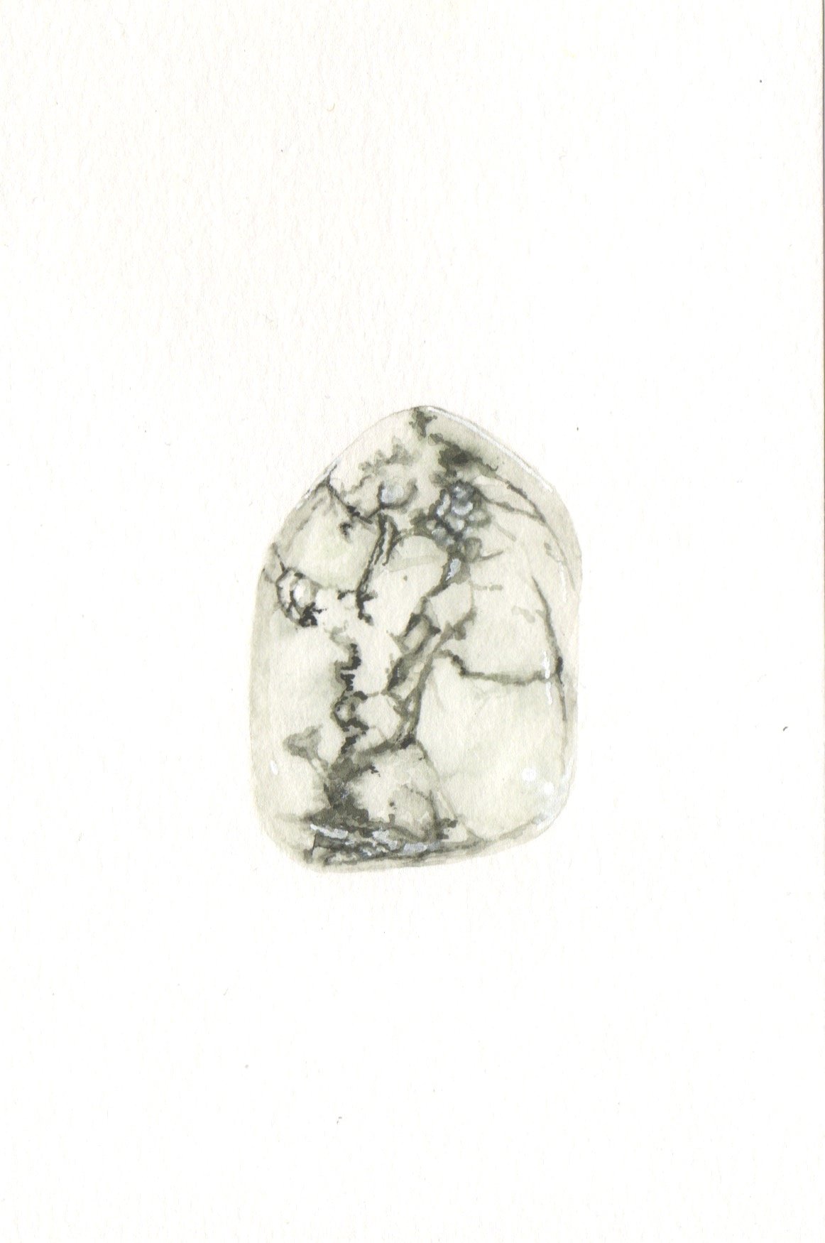 Study_Howlite.jpg