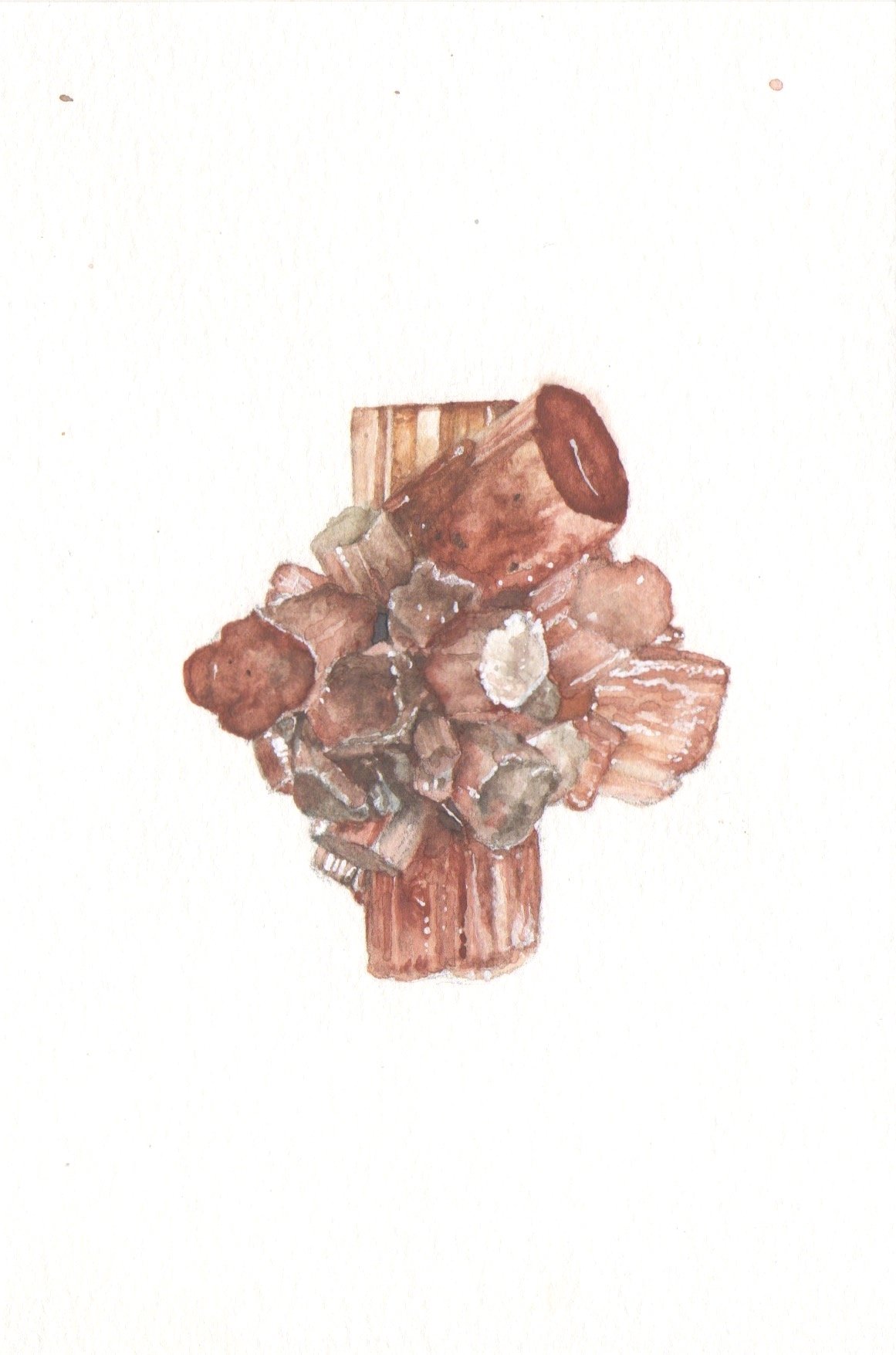 Study_Aragonite.jpg