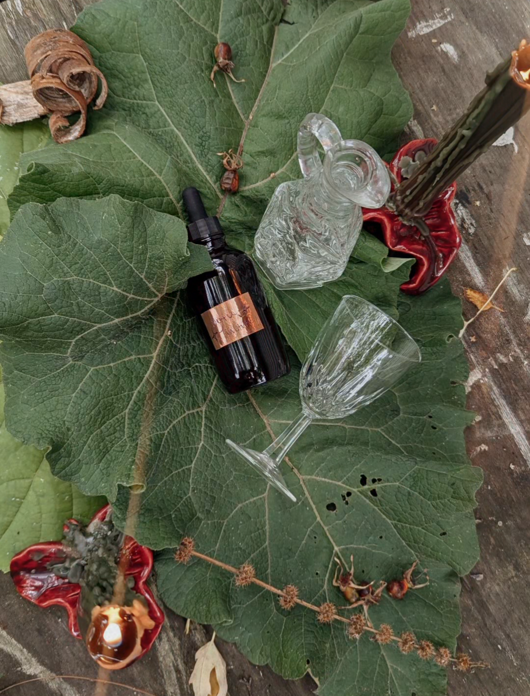 nettle 1.png