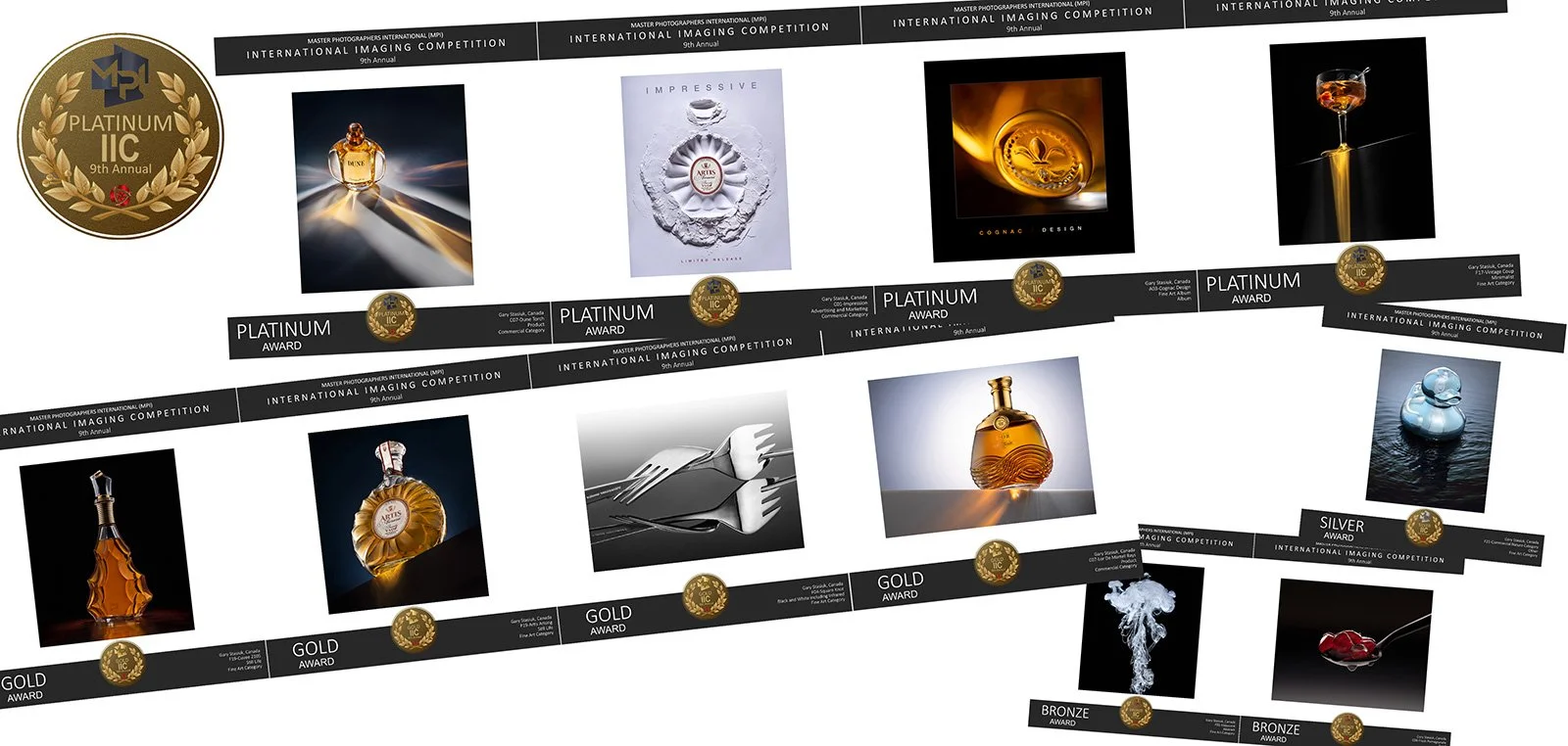 IIC 9th Annual 2023 Photography Competition