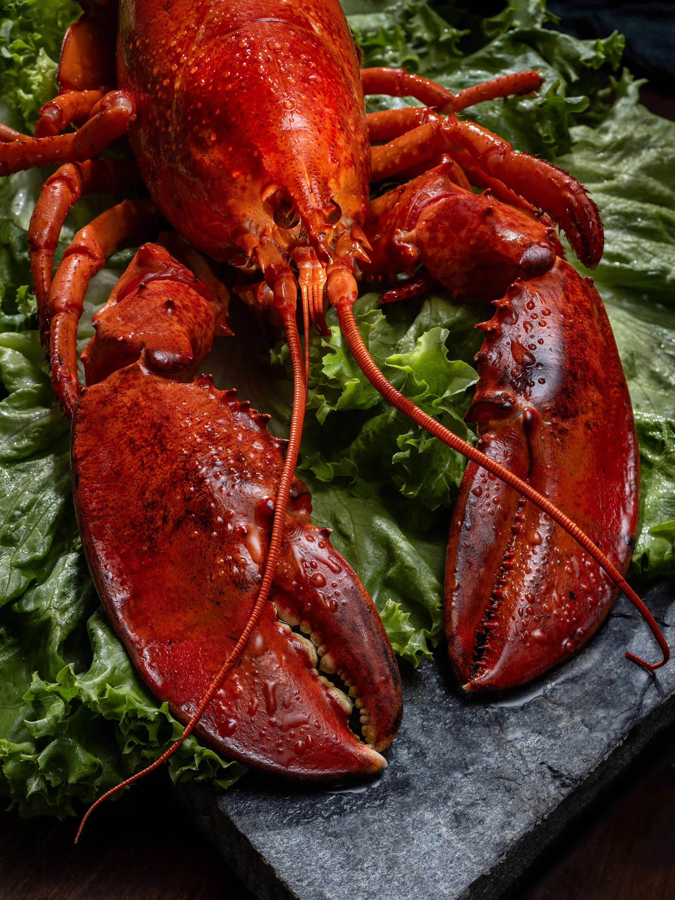 DSCF_77353_Lobster_on_Stone_3000-65.jpg