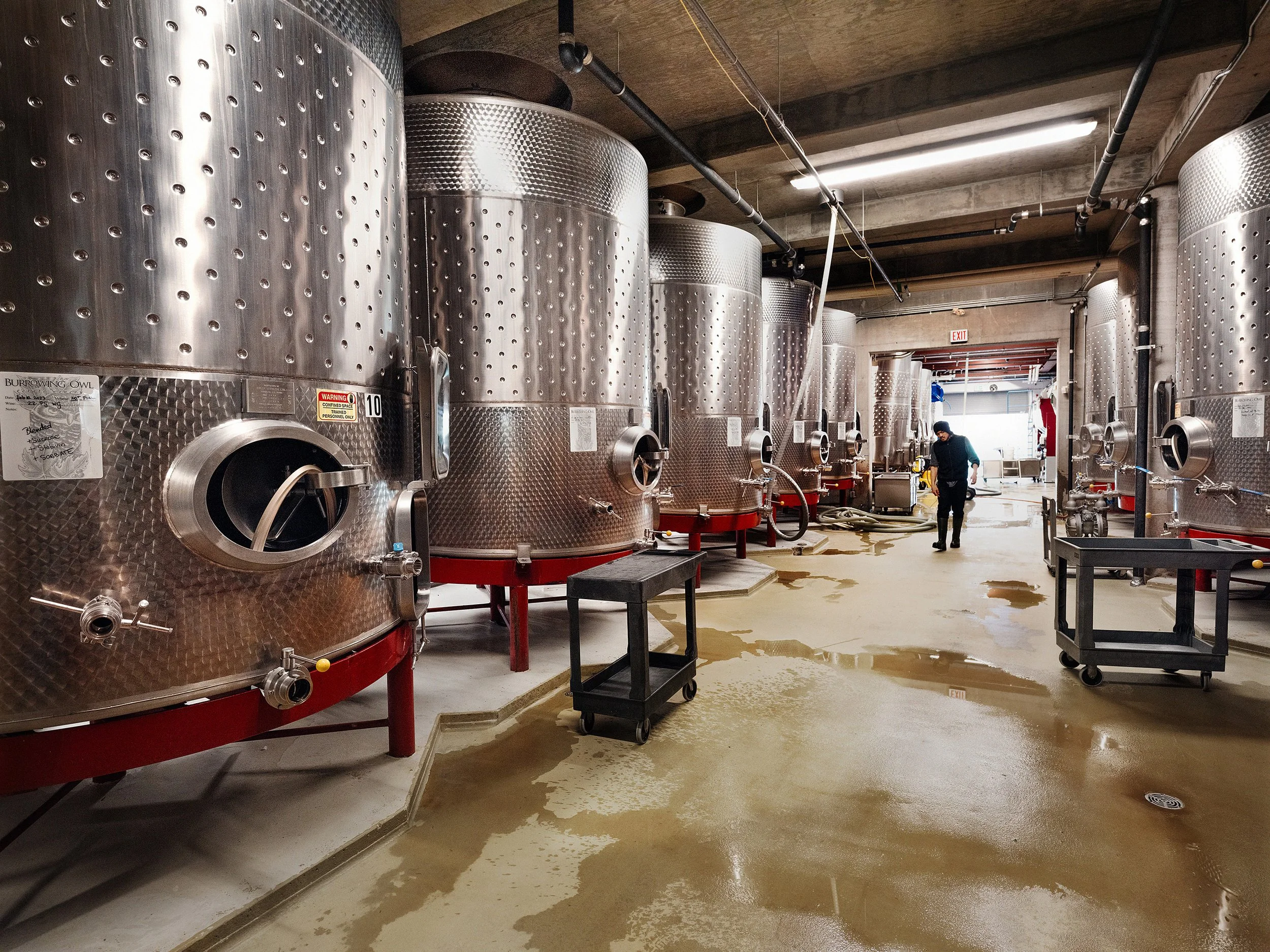 Burrowing Owl Winery