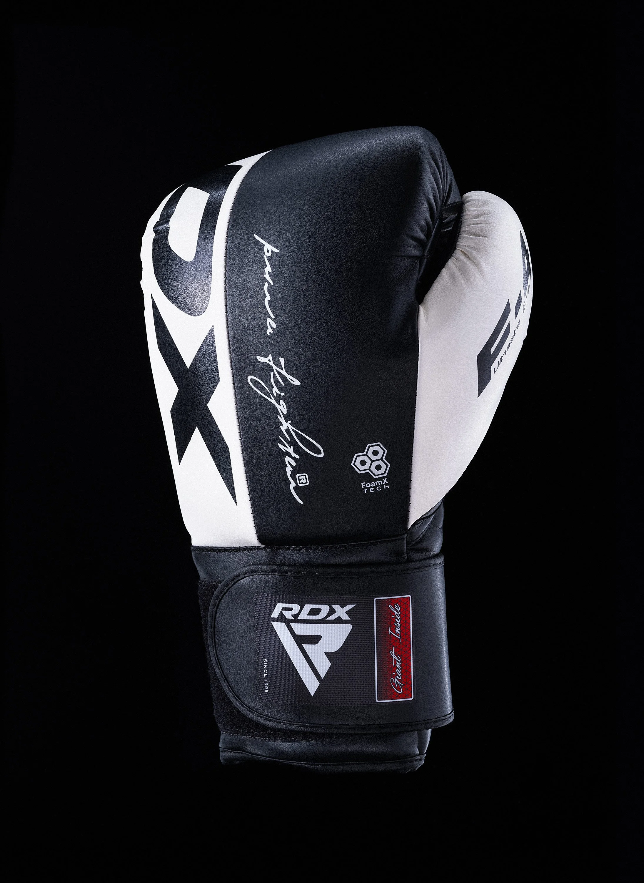RDX Boxing Glove