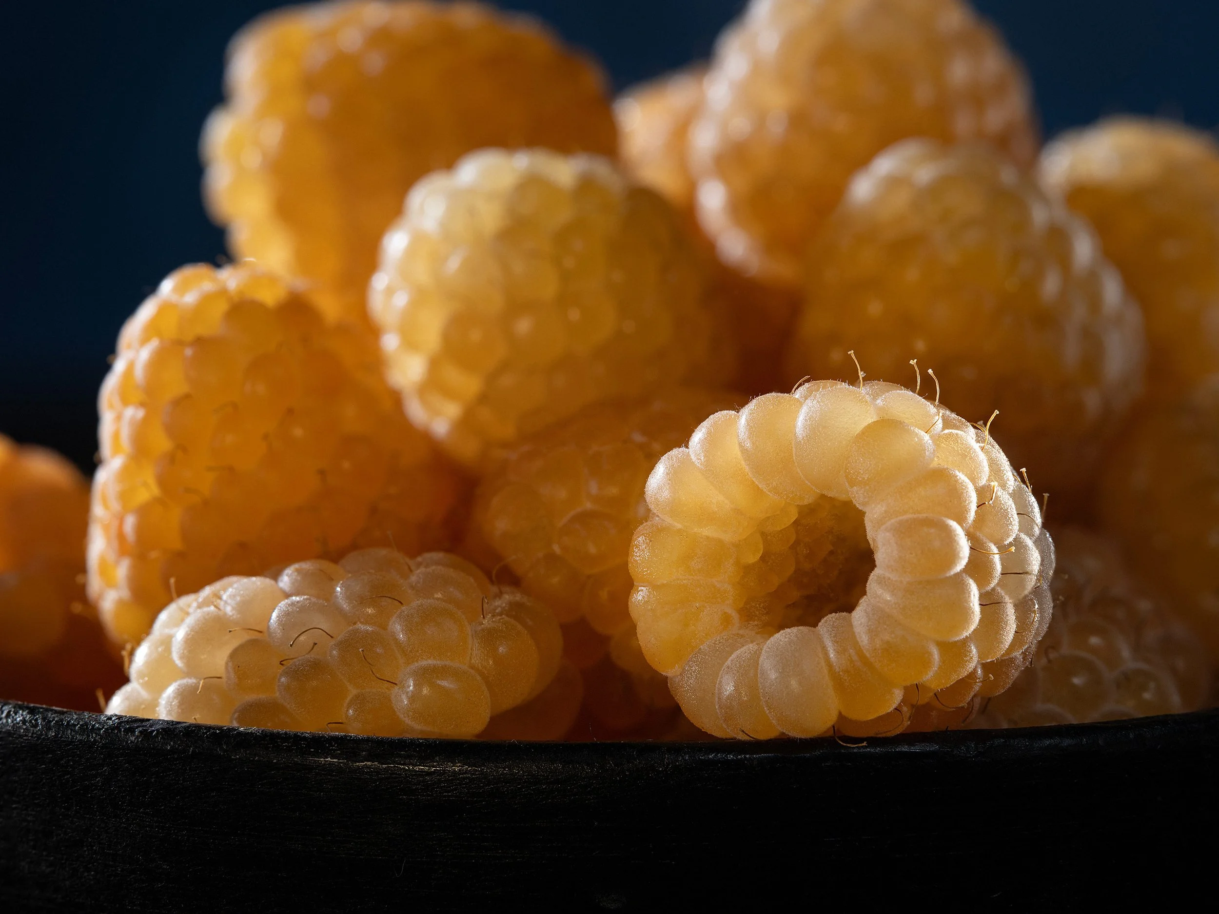 DSCF_61230_Honey_Golden_Raspberries_3000-65.jpg