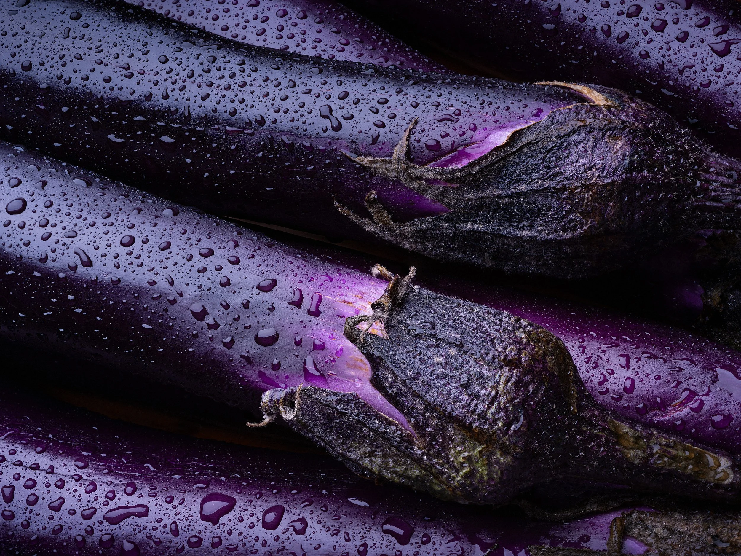 DSCF_80006_Aubergine_3000-65.jpg