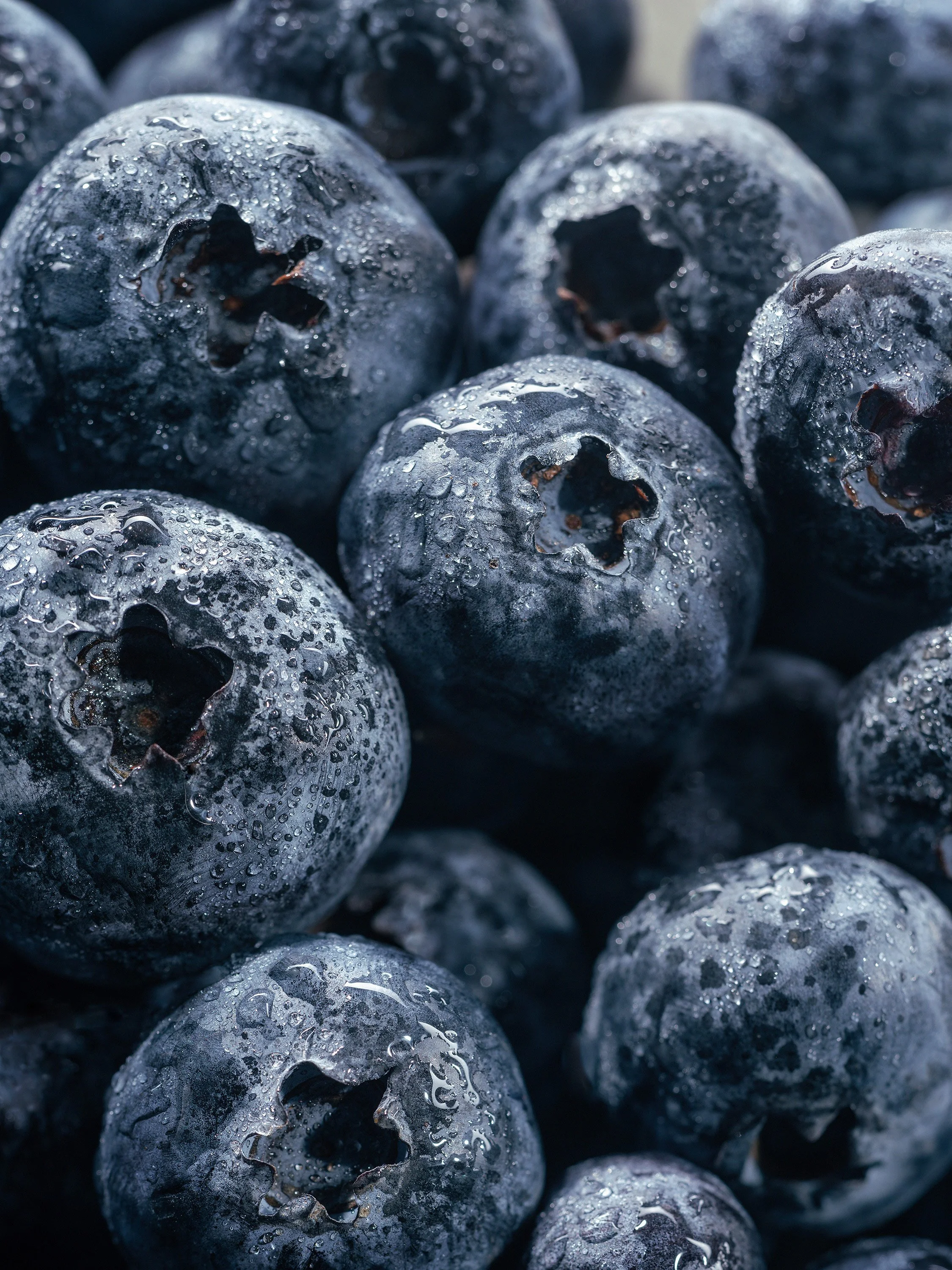 DSCF_65800_Blueberries_3000-65.jpg