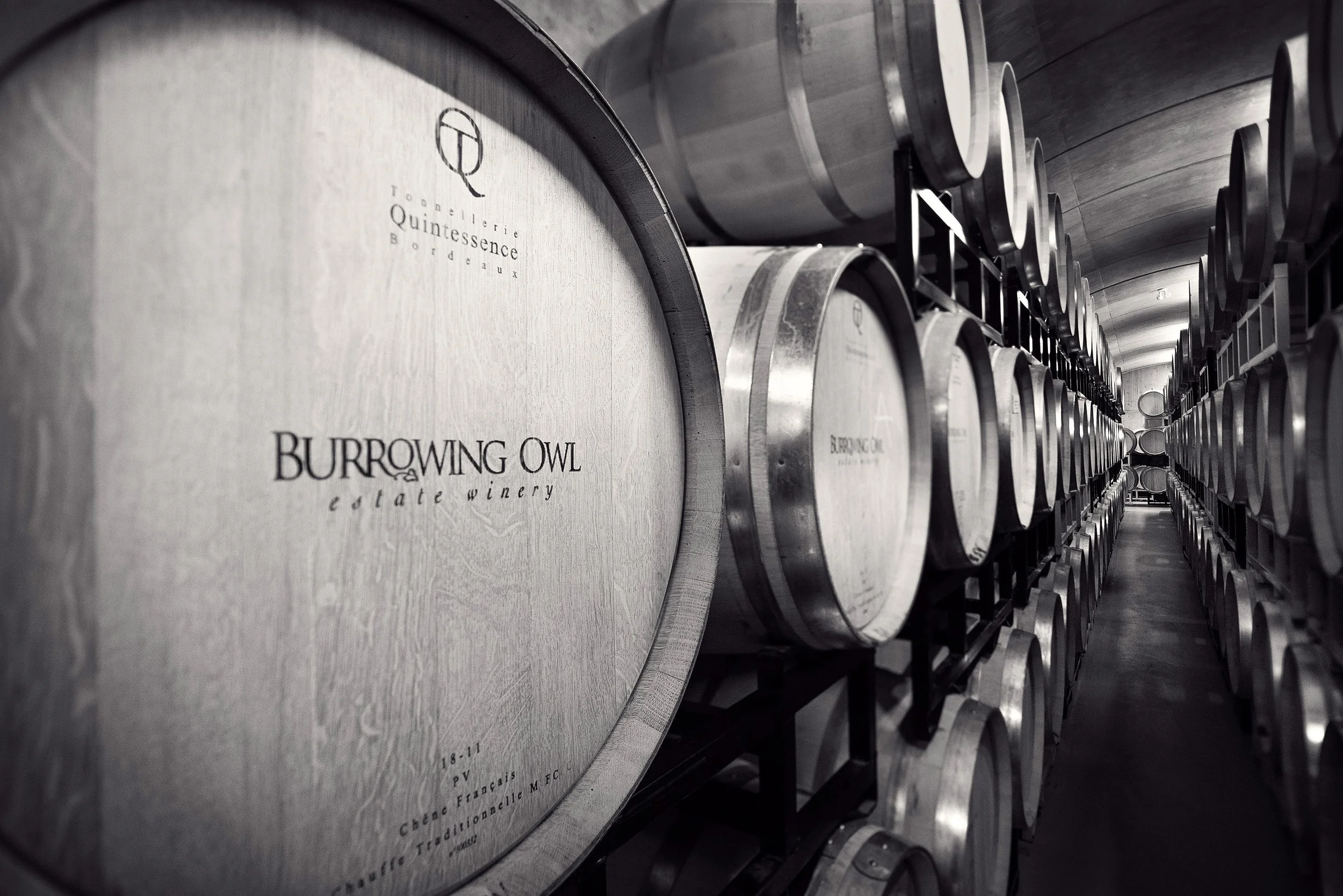 Burrowing Owl Winery