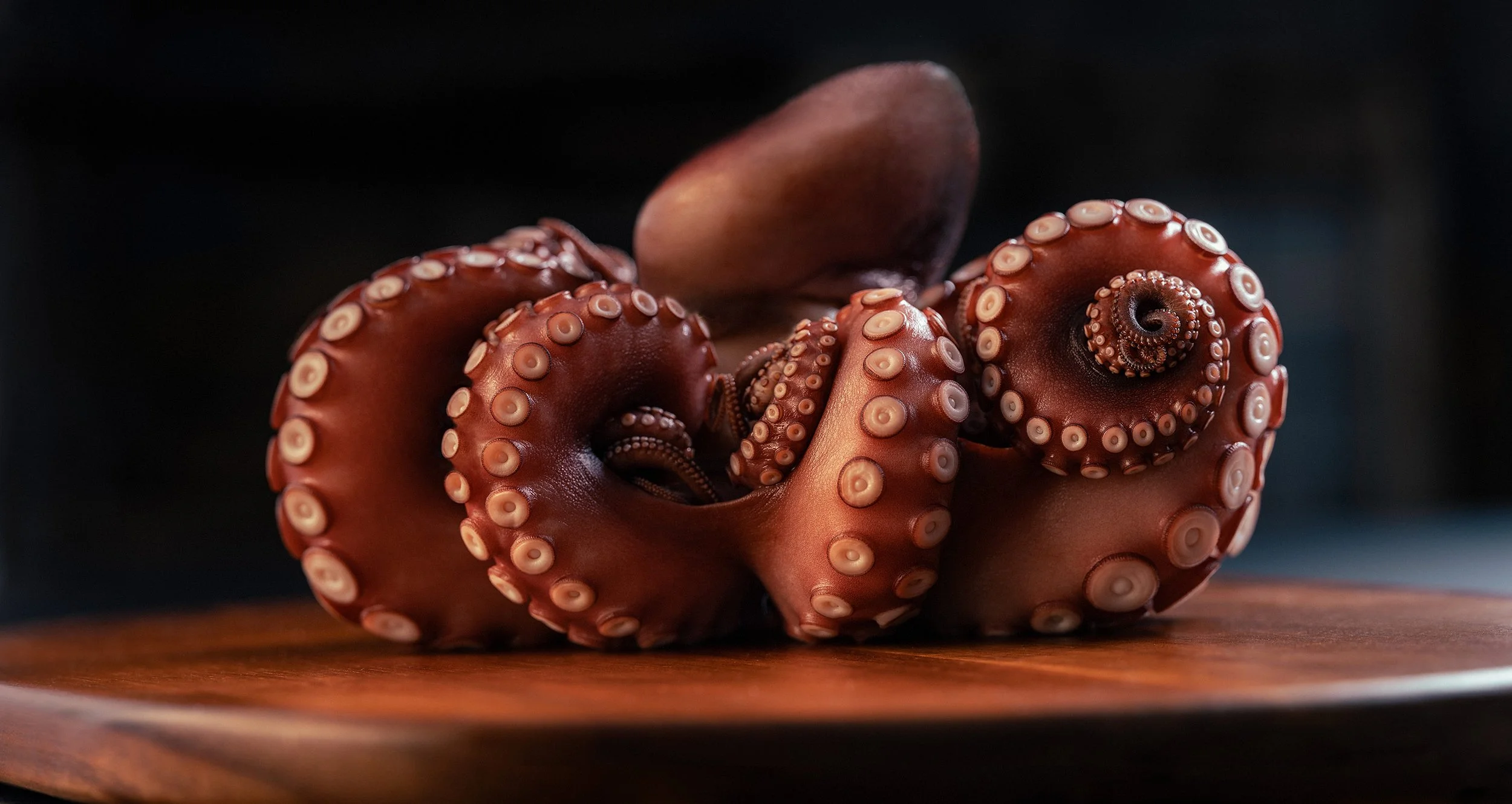Octopus