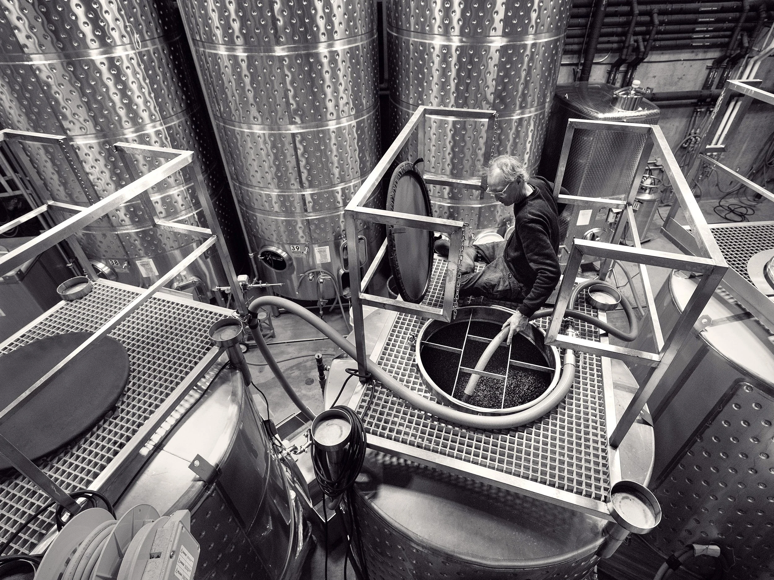 Burrowing Owl Winery