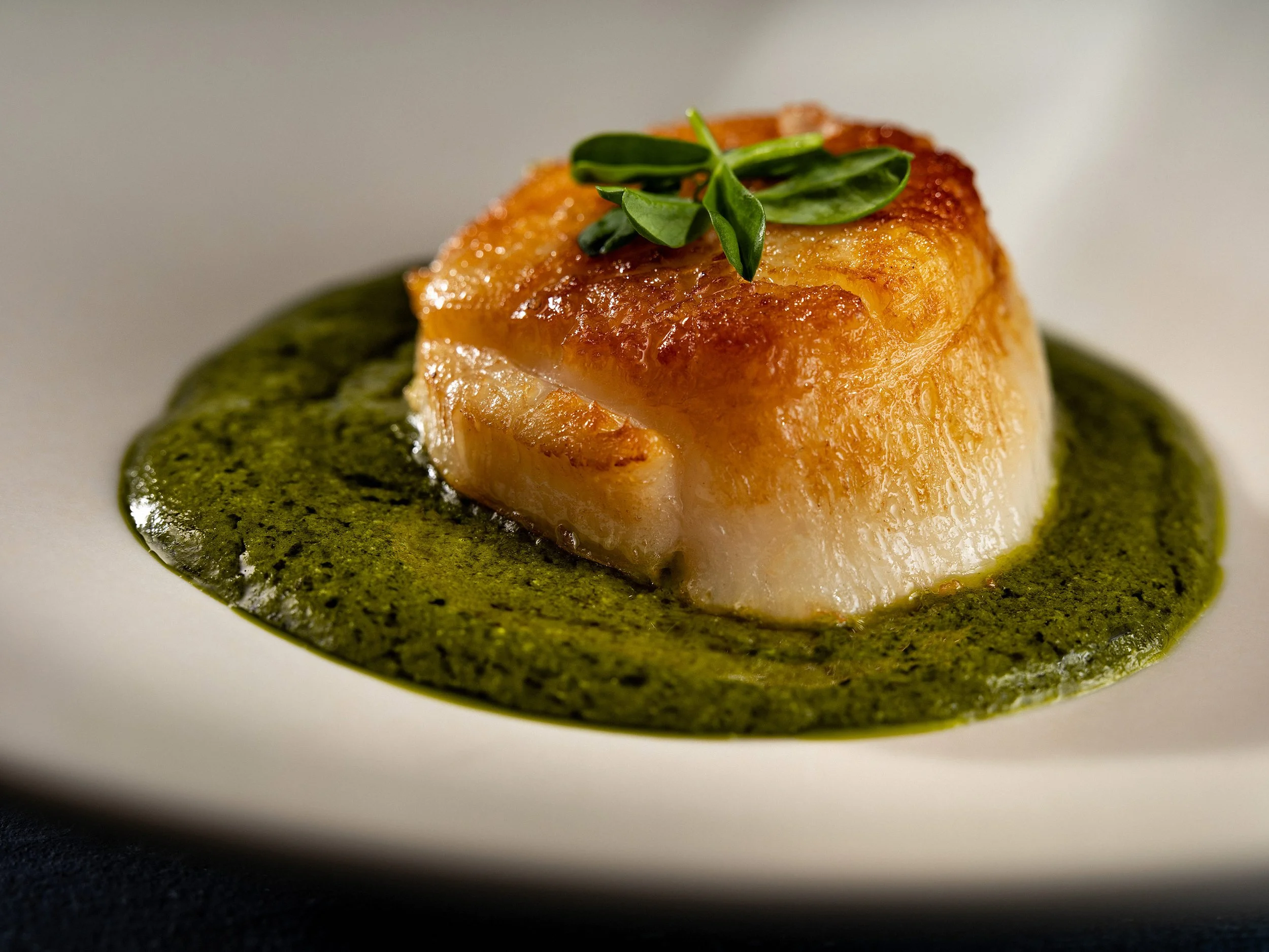 Scallop & Green Sauce