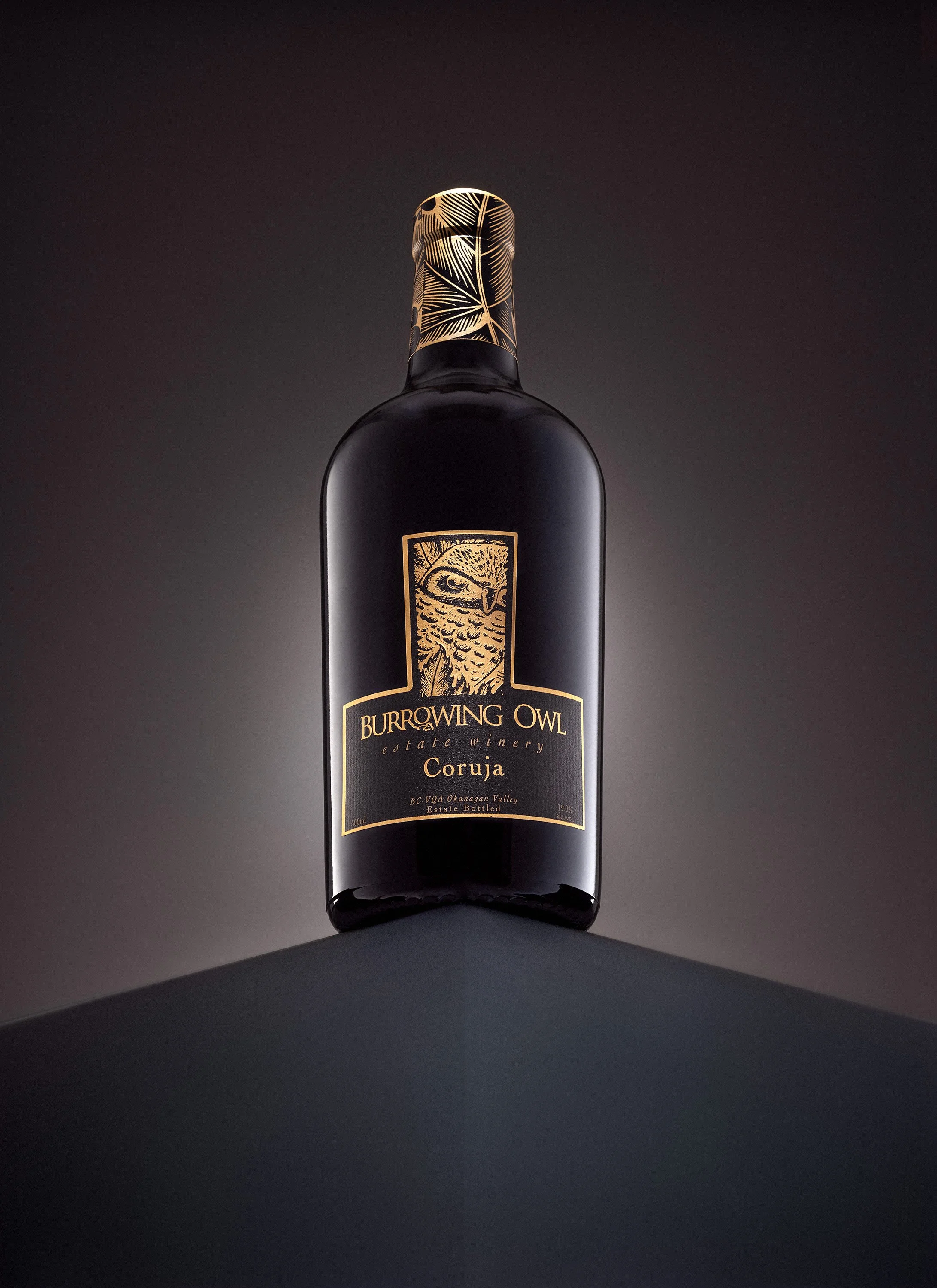 Burrowing Owl Coruja