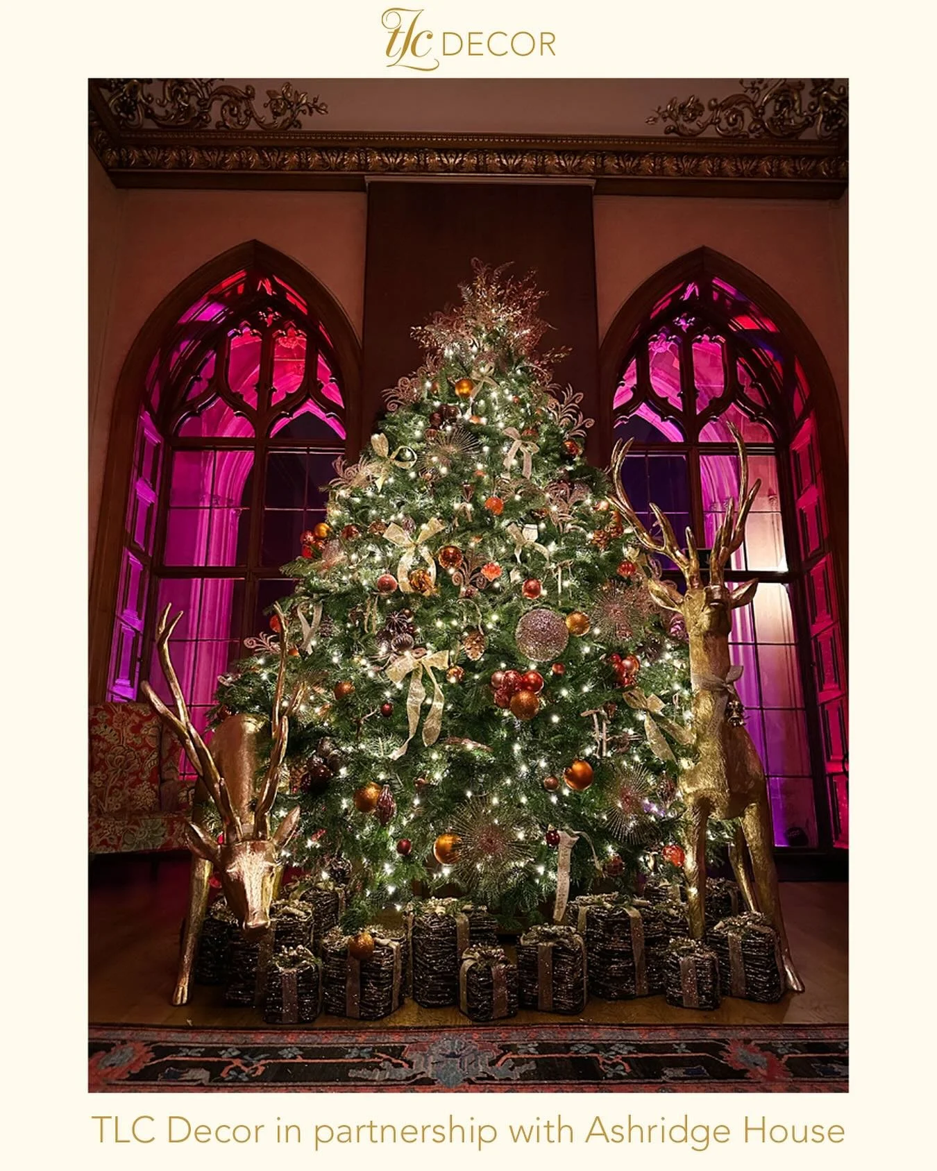 One of our trees at @ashridgehouse this season. Ashridge Illuminated is open everyday now till January, except Christmas Day, so come and see the magic for yourselves! #christmas #christmasdecor #christmastree #christmasmagic #festive #display #ashri